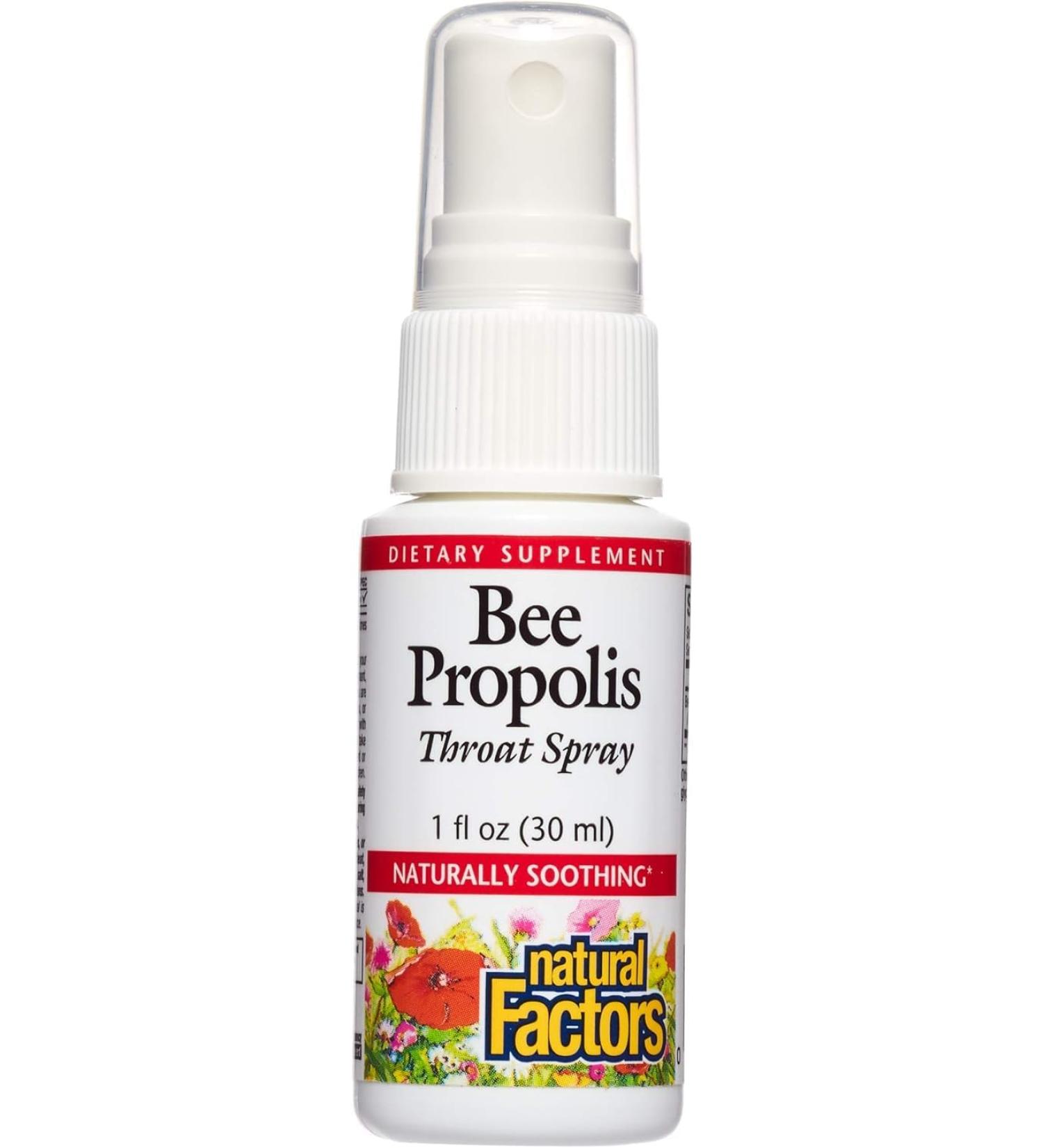 Natural Factors Bee Propolis Throat Spray - Soothe Sore Throat & Boost Energy | 1 Oz - International Shipping Available - Buy Online on GoSupps.com