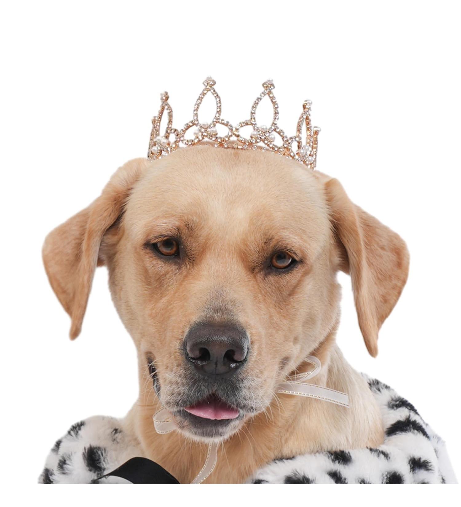 Gold-Plated Royal Saut Pearls & Dog/Cat Hair Accessories | Lovelyshop Phallus Collection - International Shipping - Buy Online on GoSupps.com