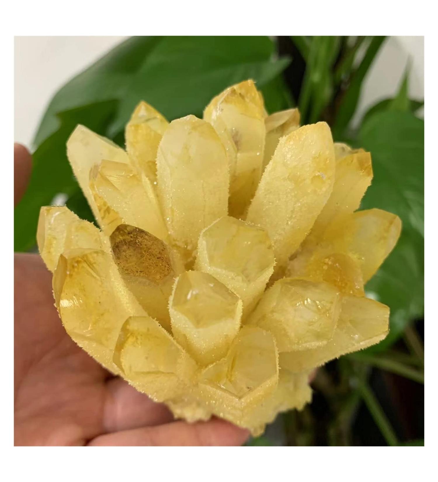 Natural Crystal Rough Crystal Cluster Natural Citrine Phantom Quartz Crystal Cluster Specimen (Size : 750-800g) - Buy Online on GoSupps.com