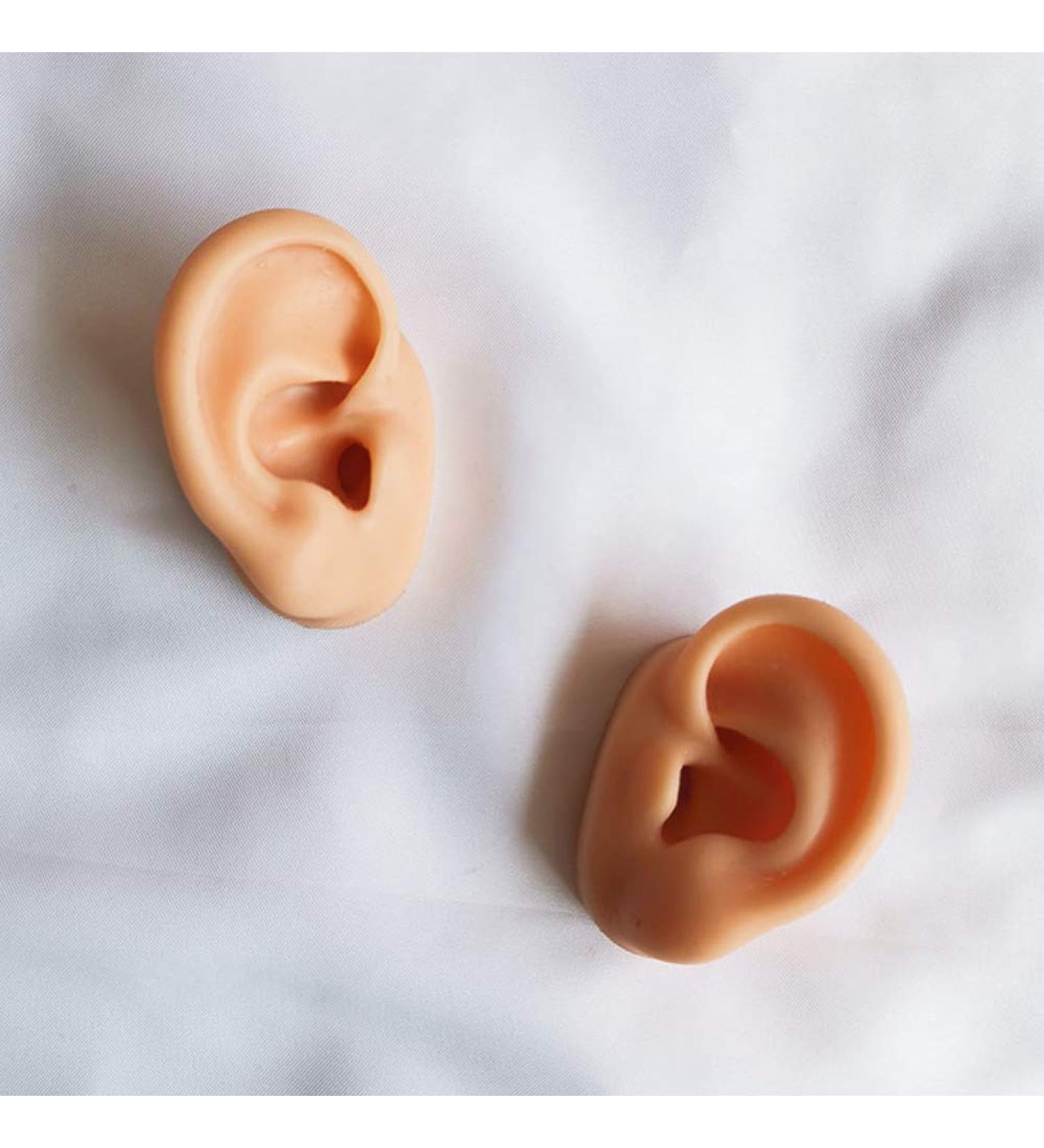 Soft Silicone Ear Model Artificial Human Ear for Acupuncture Ohr Picking Practice Practice Medical Teaching Display Props Left Right 1 Pair - Buy Online on GoSupps.com