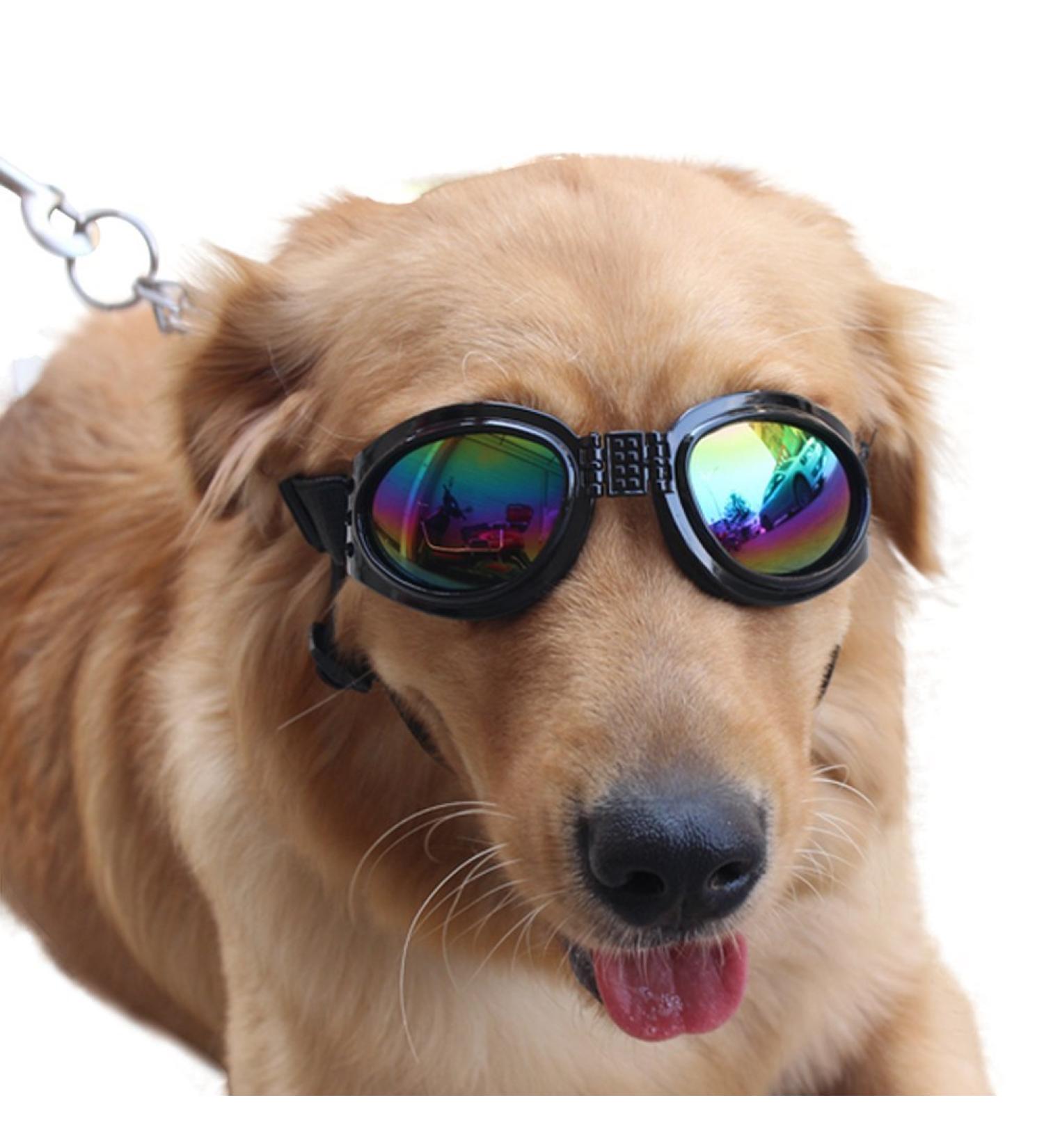 Pet Glasses Dog Sunglasses Dog Glasses Golden Retriever Samoyed Sunglasses Goggles Big Dog Sunglasses (Black) - Buy Online on GoSupps.com