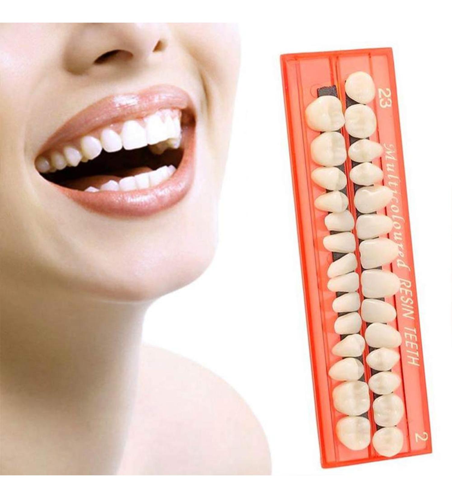 Buy Tianbi 28-Part Dental Model Set | Durable Resin False Teeth for Horror Props & DIY Teaching - Buy Online on GoSupps.com