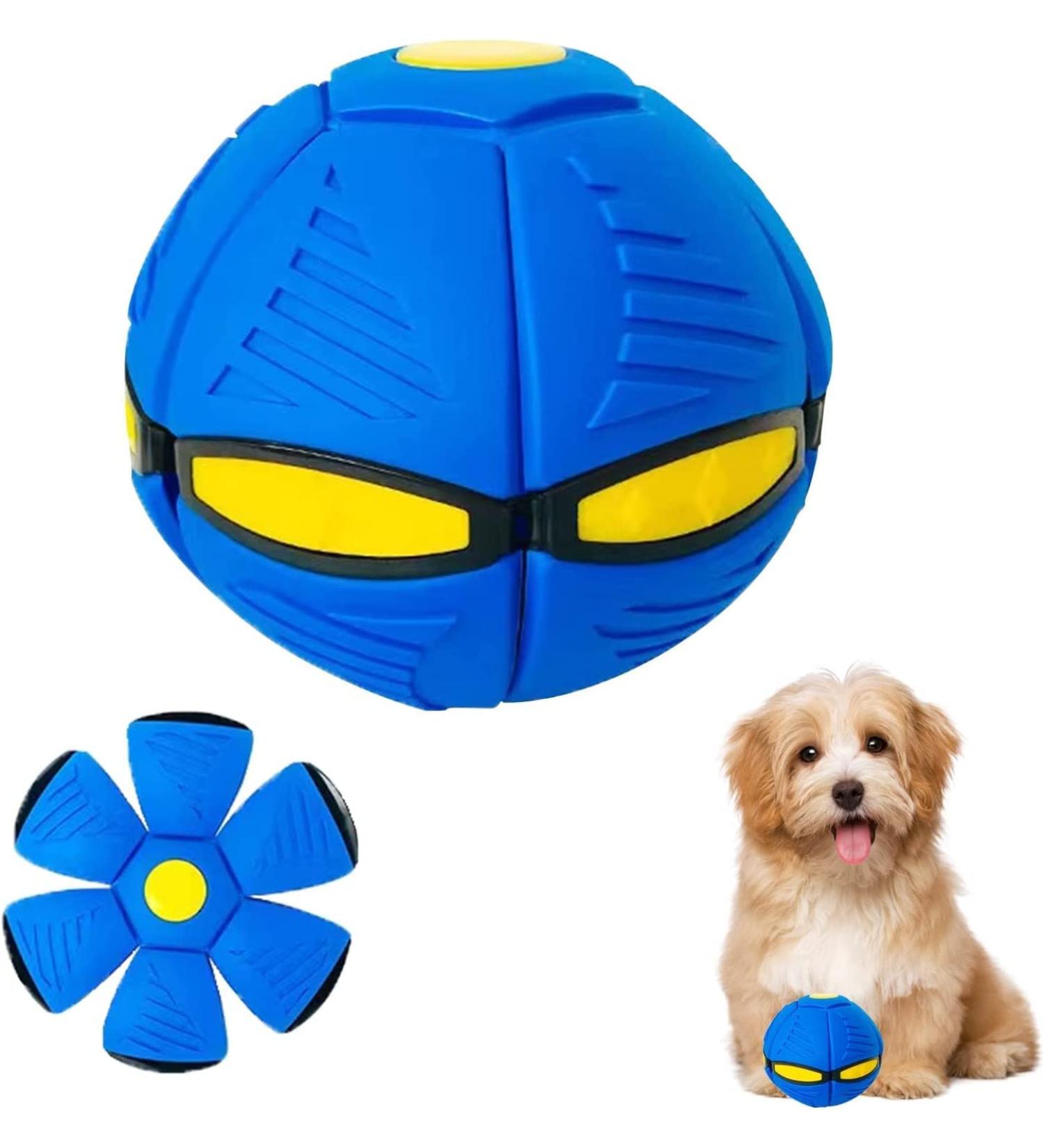 GUYAQ Pet Toy Flying Saucer Ball New Flying Saucer Ball Dog Toy Pet Flying Saucer Ball Flying Saucer Dog Toy Suitable for Cats and Dogs (Ordinary Model Blue) Ordinary Model Blue - Buy Online on GoSupps.com