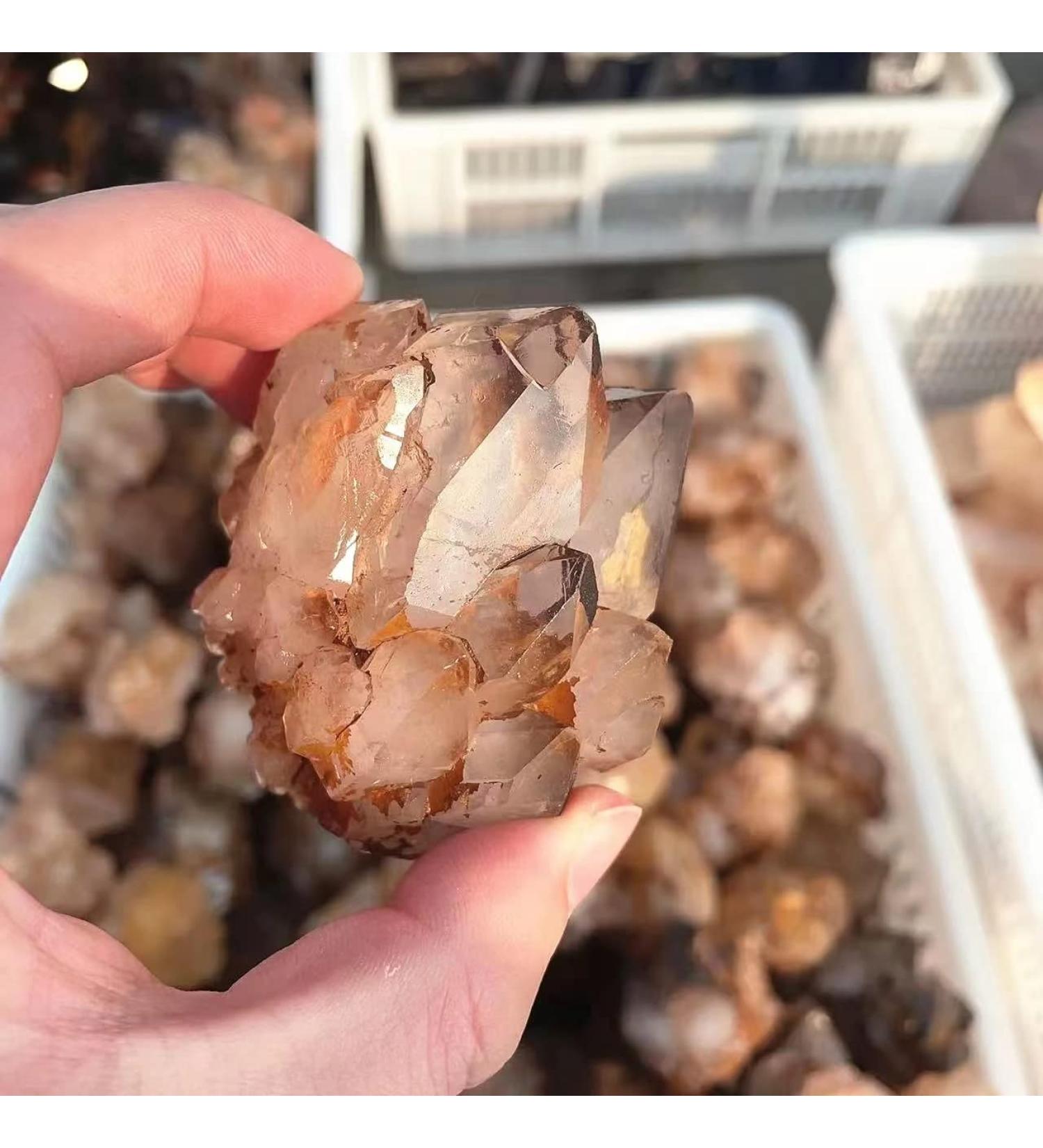 Natural Crystal Rough Natural Stone Crystal Flower Scepter Clear Quartz Cluster Backbone for Decorate 1pc - Buy Online on GoSupps.com