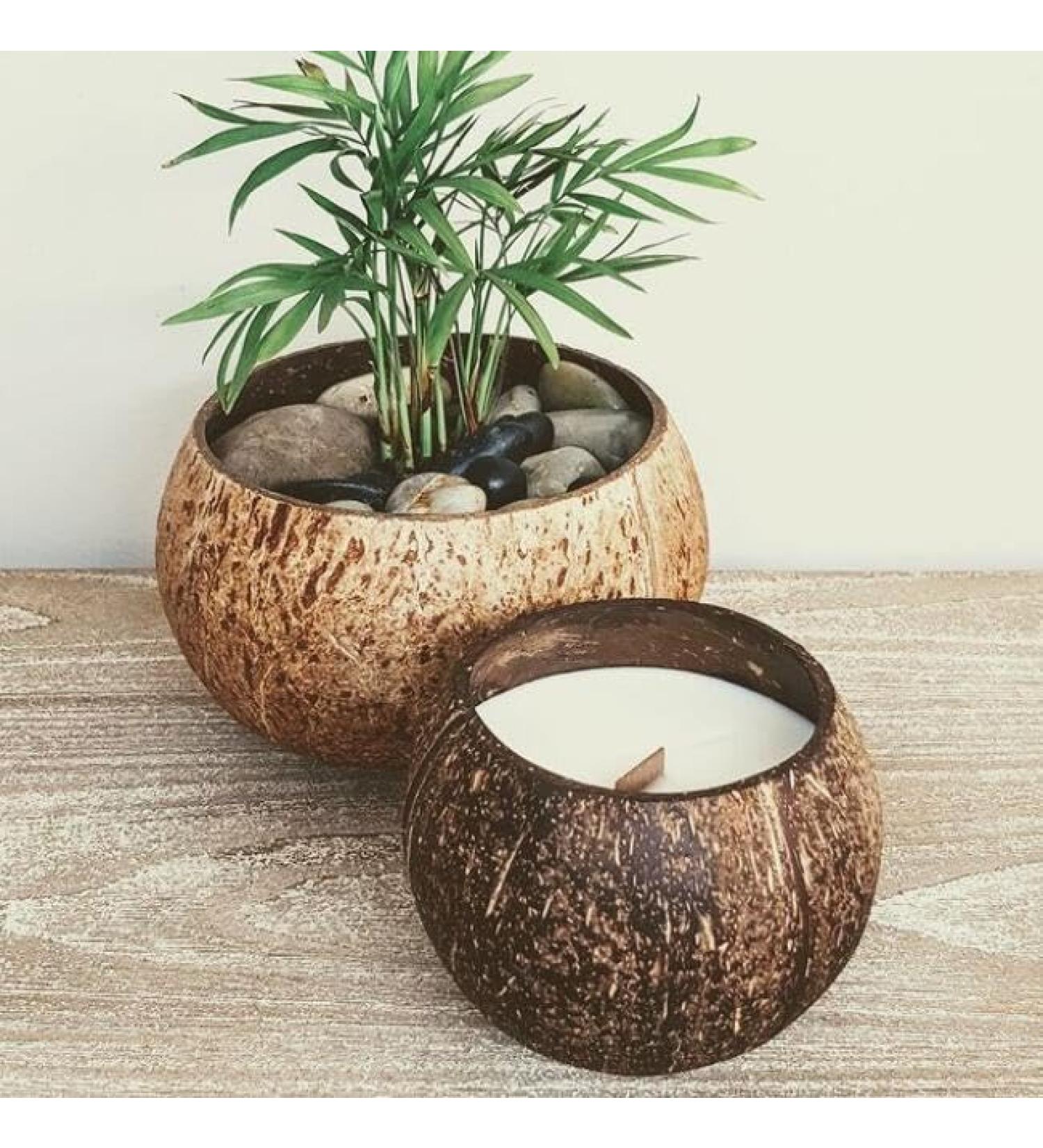 Buy Coconut Shell Candle - Scented Soy Essential Oil Eco-Friendly Wood Wick Natural Coconut Scent - International Shipping - Buy Online on GoSupps.com