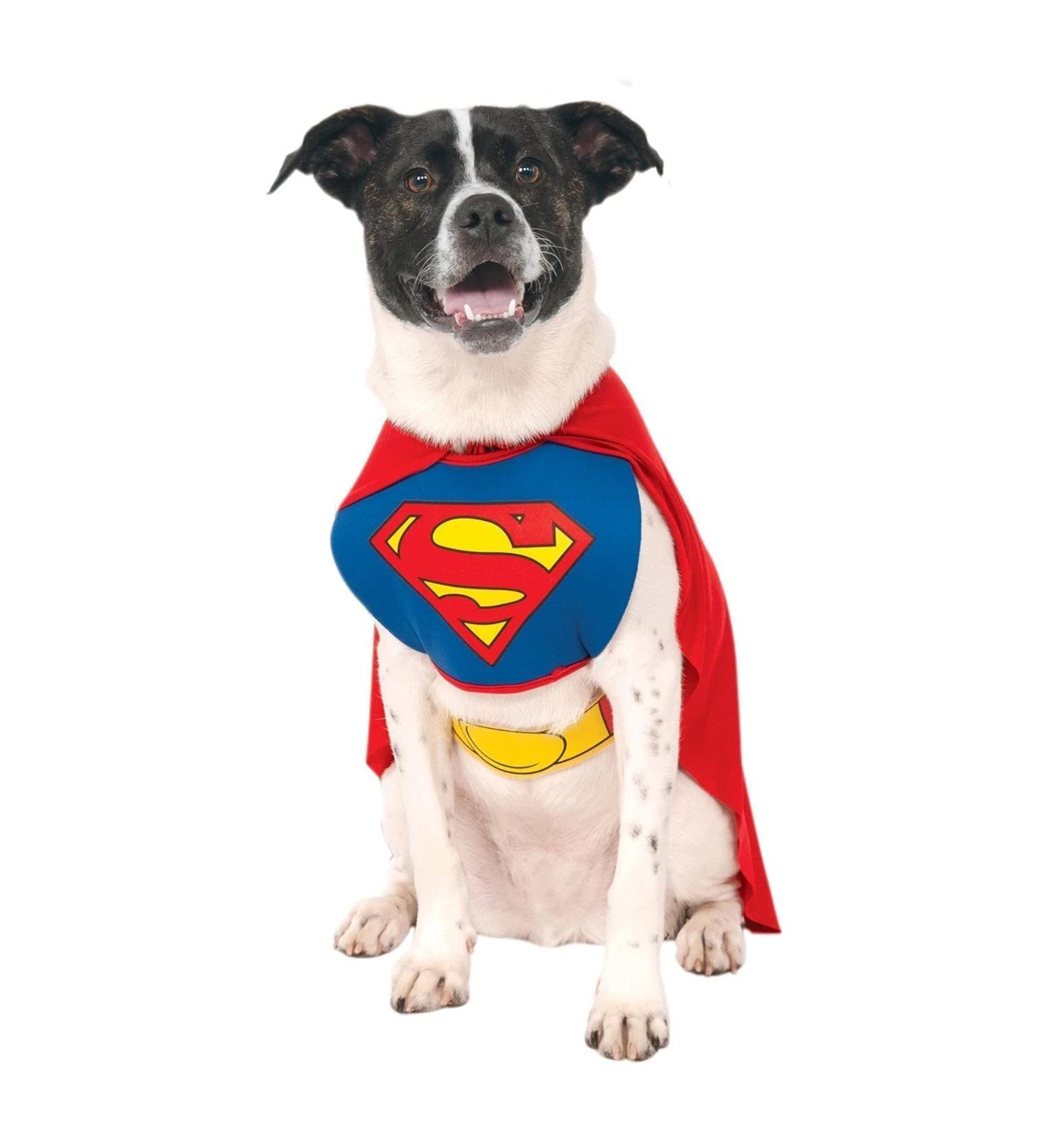 Shop Rubies Men's Superman Pet Costume - Blue L (EU) | International Shipping Available - Buy Online on GoSupps.com