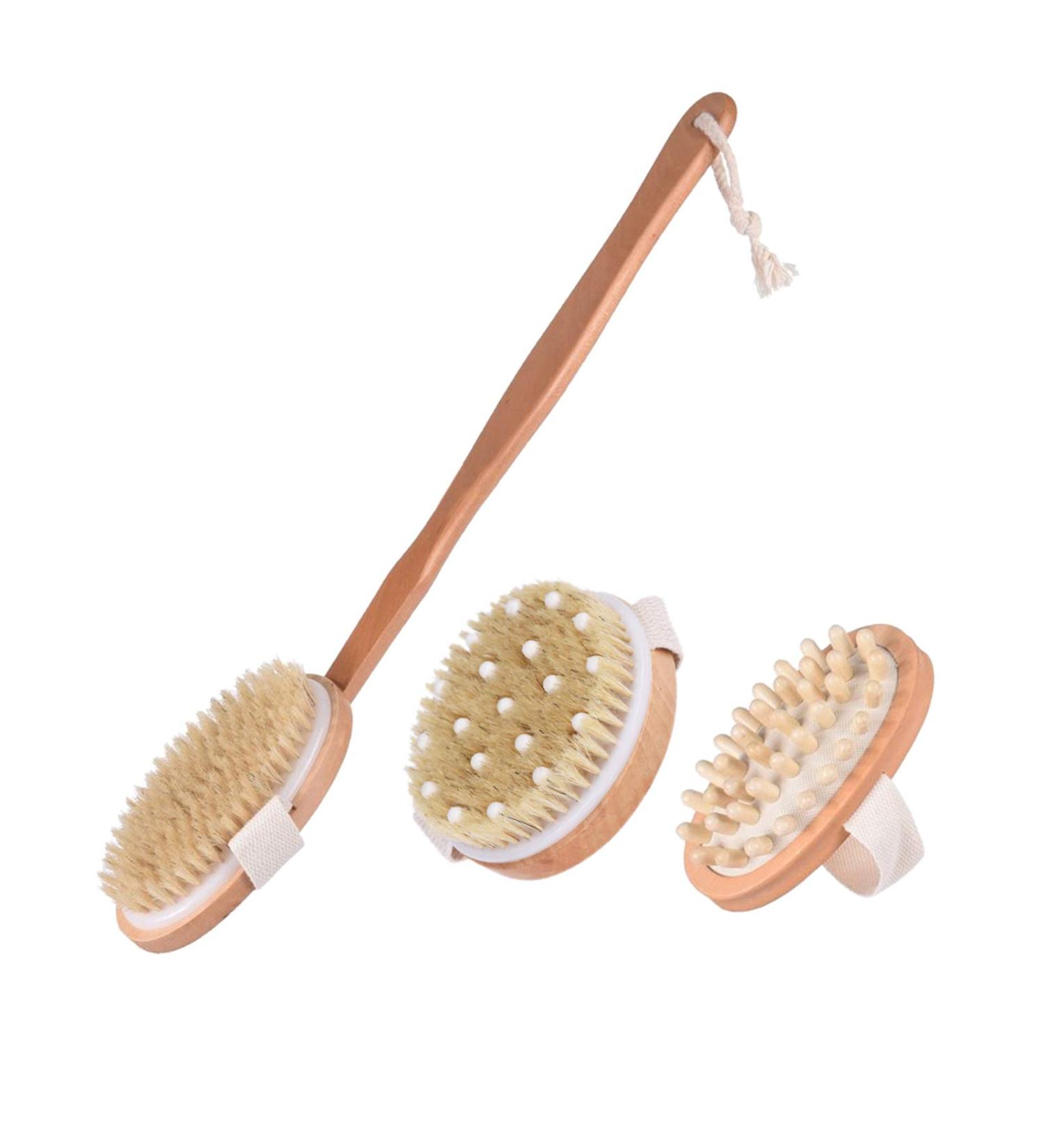 3 Pack Bath Dry Brush Set for Body Exfoliation & Shower Massage - Natural Soft and Stiff Bristles with Long Handle and Pumice Brush Included - Buy Online on GoSupps.com