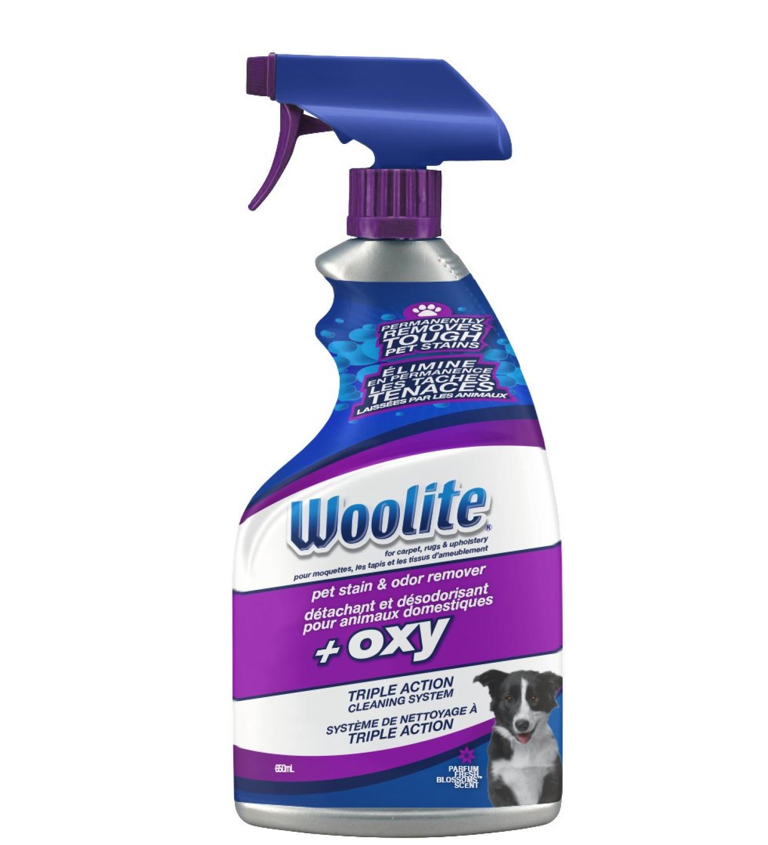 BISSELL 22-Ounce Woolite Oxygen Pet Stain and Odor Remover 650 ml (Pack of 1)