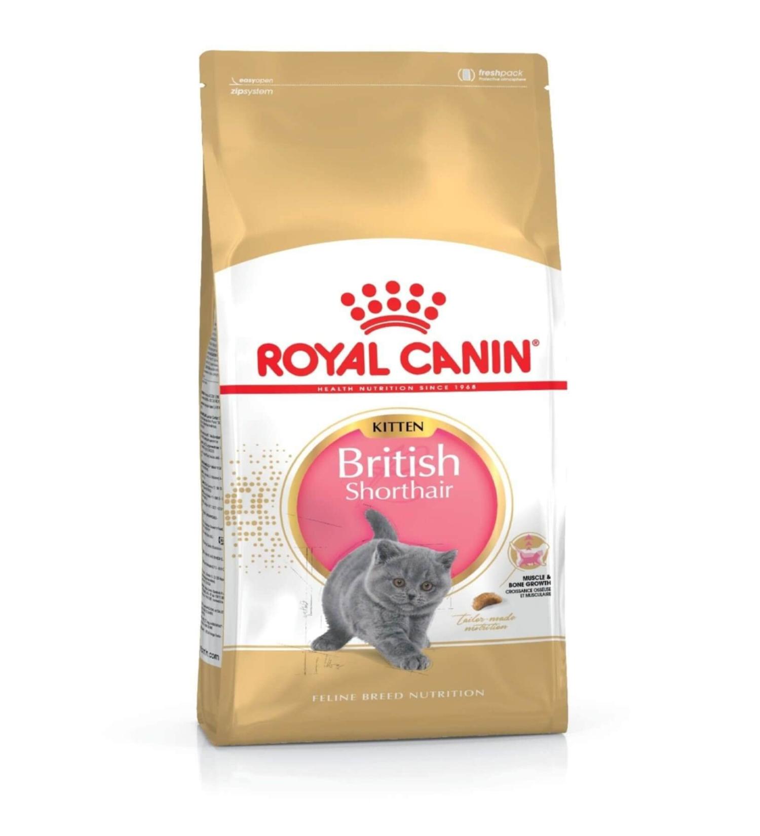 Royal Canin Kitten Food - British Shorthair Complete Food 2Kg Vegetable 2 kg (Pack of 1)