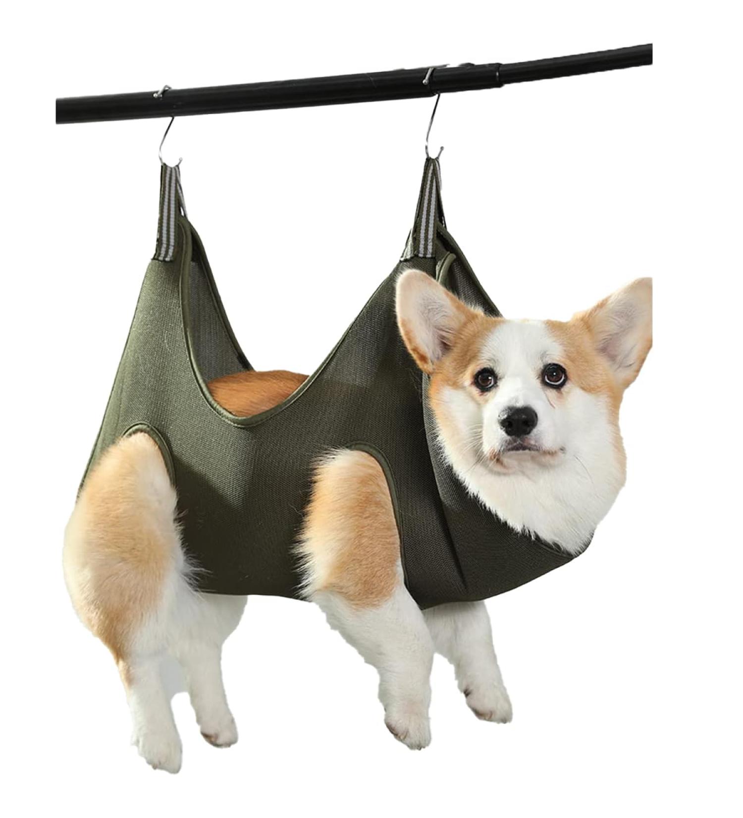 Qrity Cat Care Pocket & Dog Hammock Set S Hooks for Nail Cutting & Fur Care | Green - Buy Online on GoSupps.com