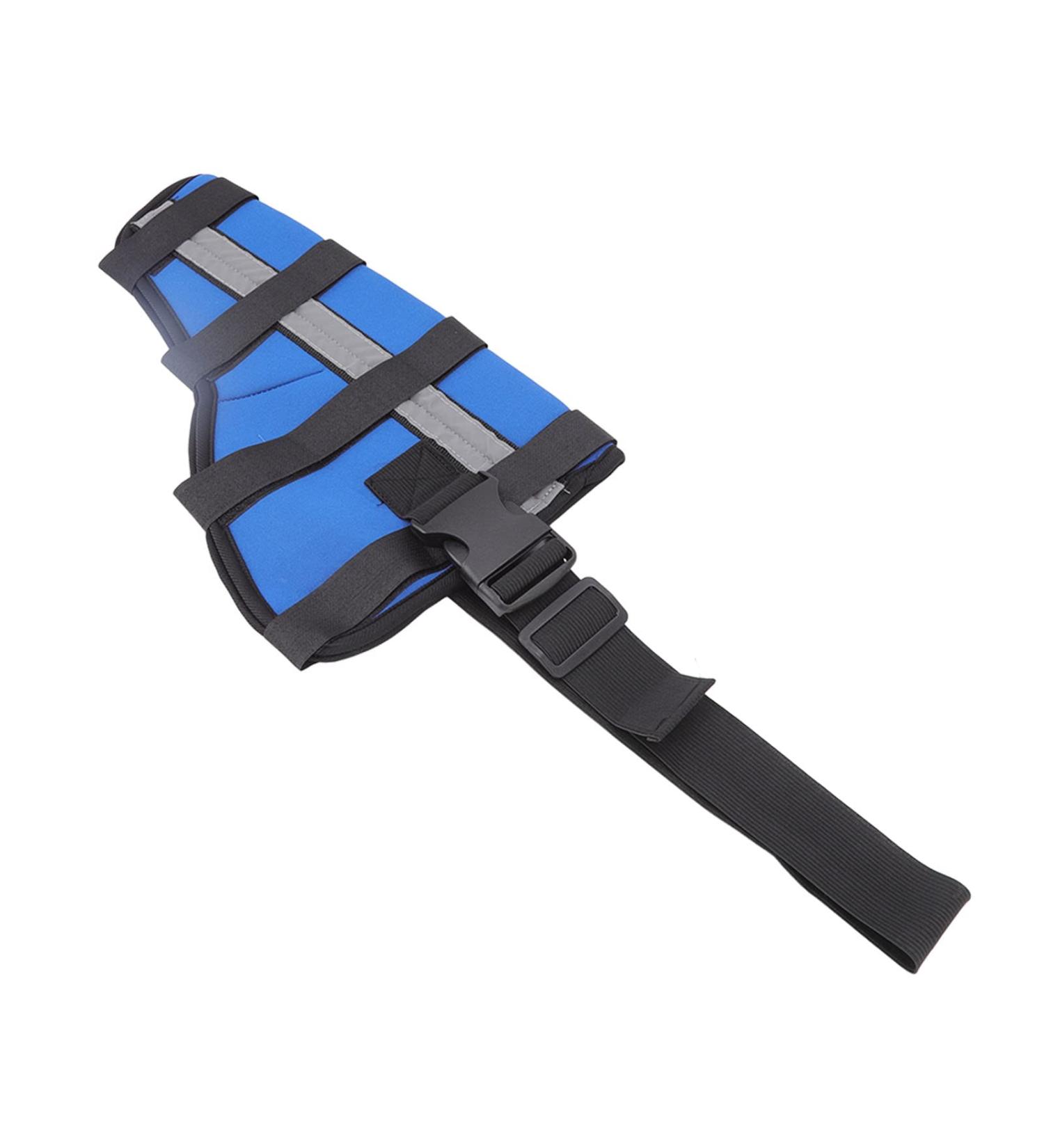 Dog Right Rear Leg Dog Supplies Dog Health and Supplies Hock Brace Dog Hind Leg Brace Prevents Injuries and Provides Stability with Support Strip Reflective Strip Dog - Buy Online on GoSupps.com
