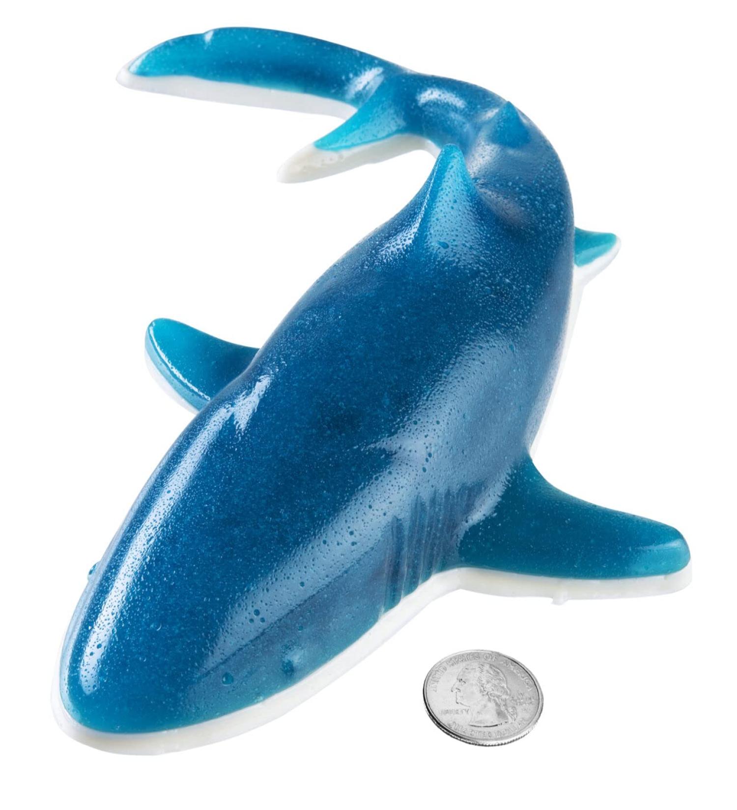 Giant Gummy Shark 18 oz. - Buy Online on GoSupps.com