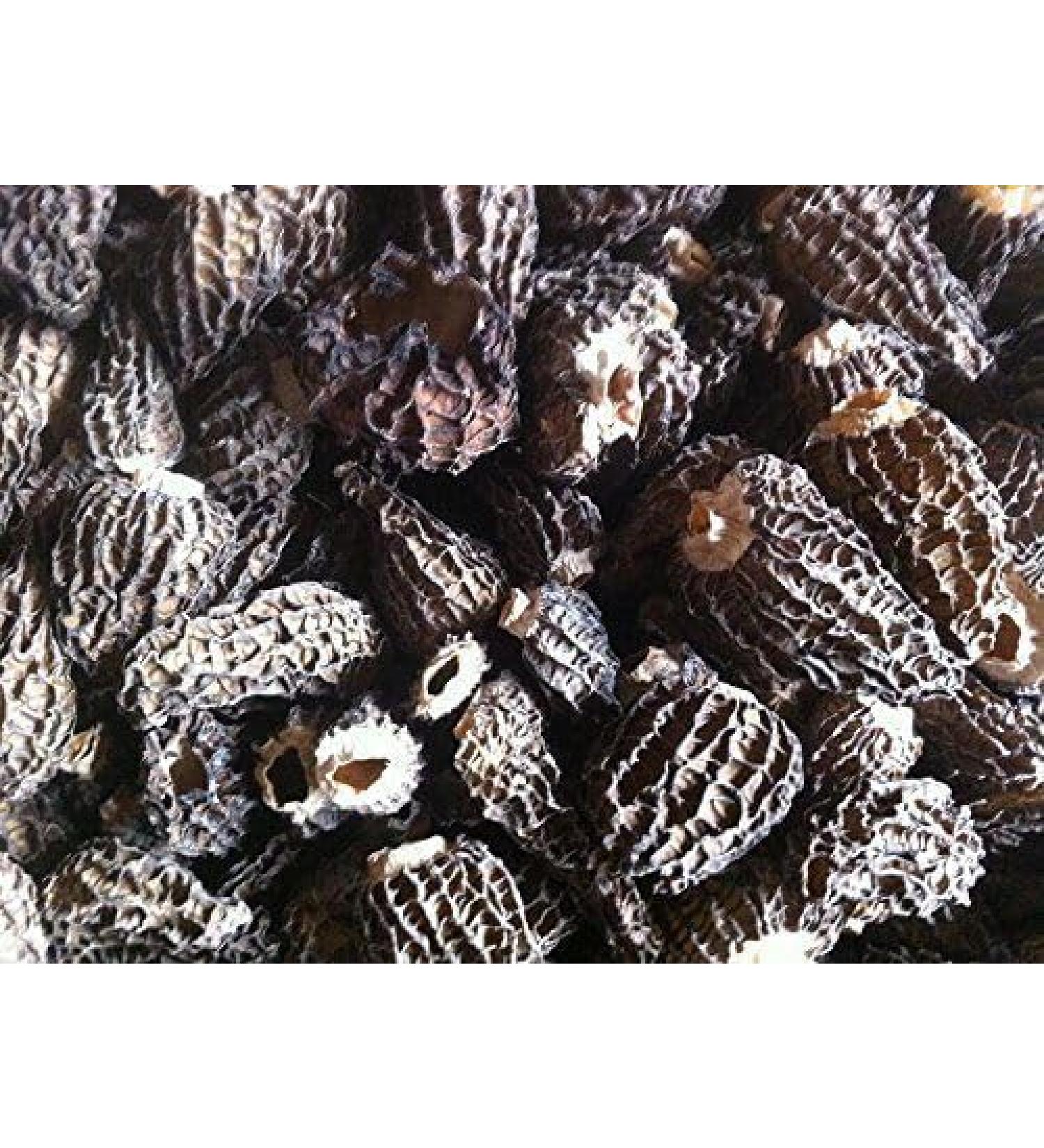 WENXUANSU:1 Pound (454 grams) Dried Morel Mushroom Premium Grade from Yunnan China - Buy Online on GoSupps.com