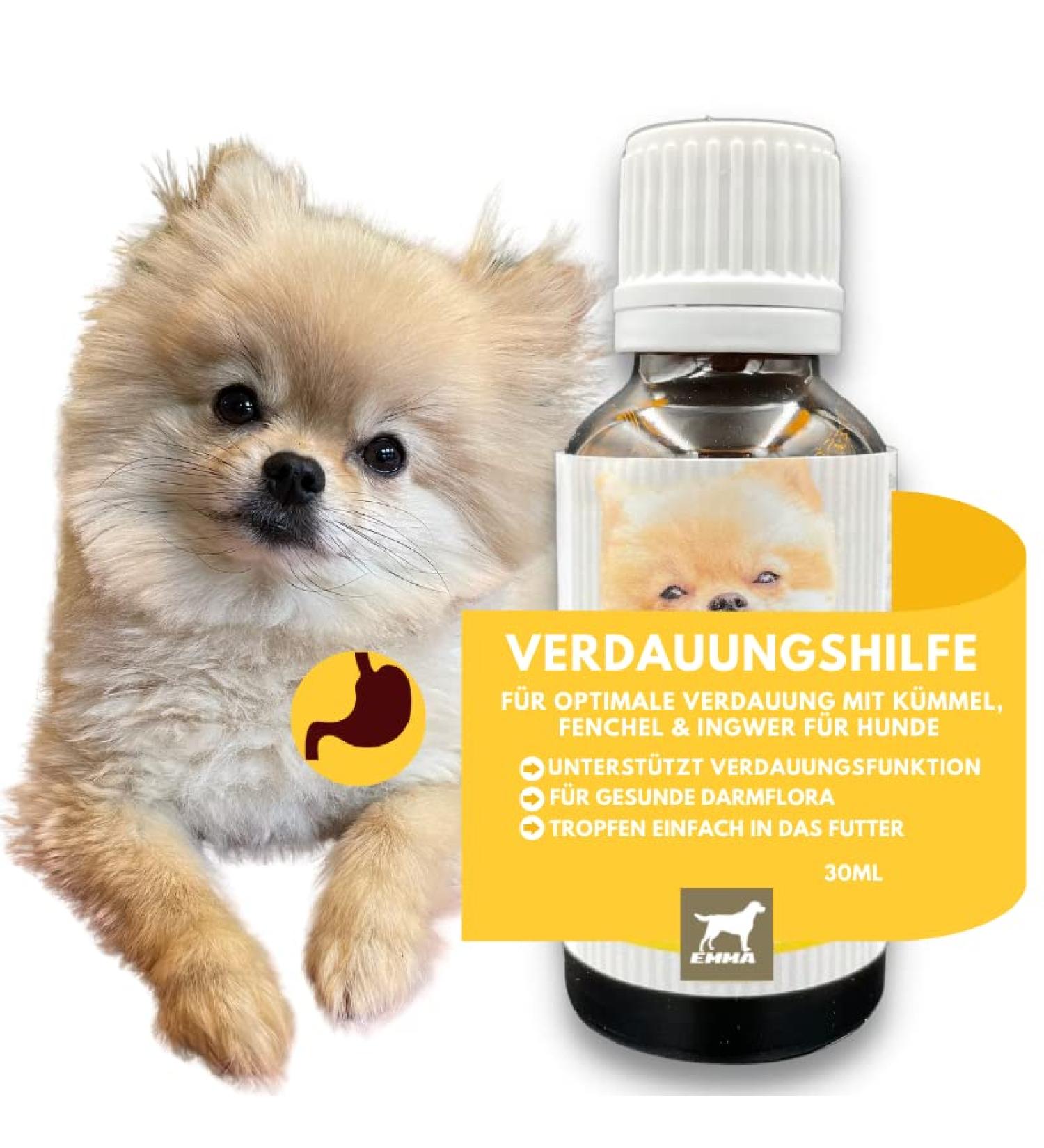Intestinal Cure Dog Active Herbs Drops I First Aid Digestion - Gastrointestinal Intestinal Flora I Restorative Food - Diarrhea Flatulence I Intestinal Sanitation 30ml - Buy Online on GoSupps.com