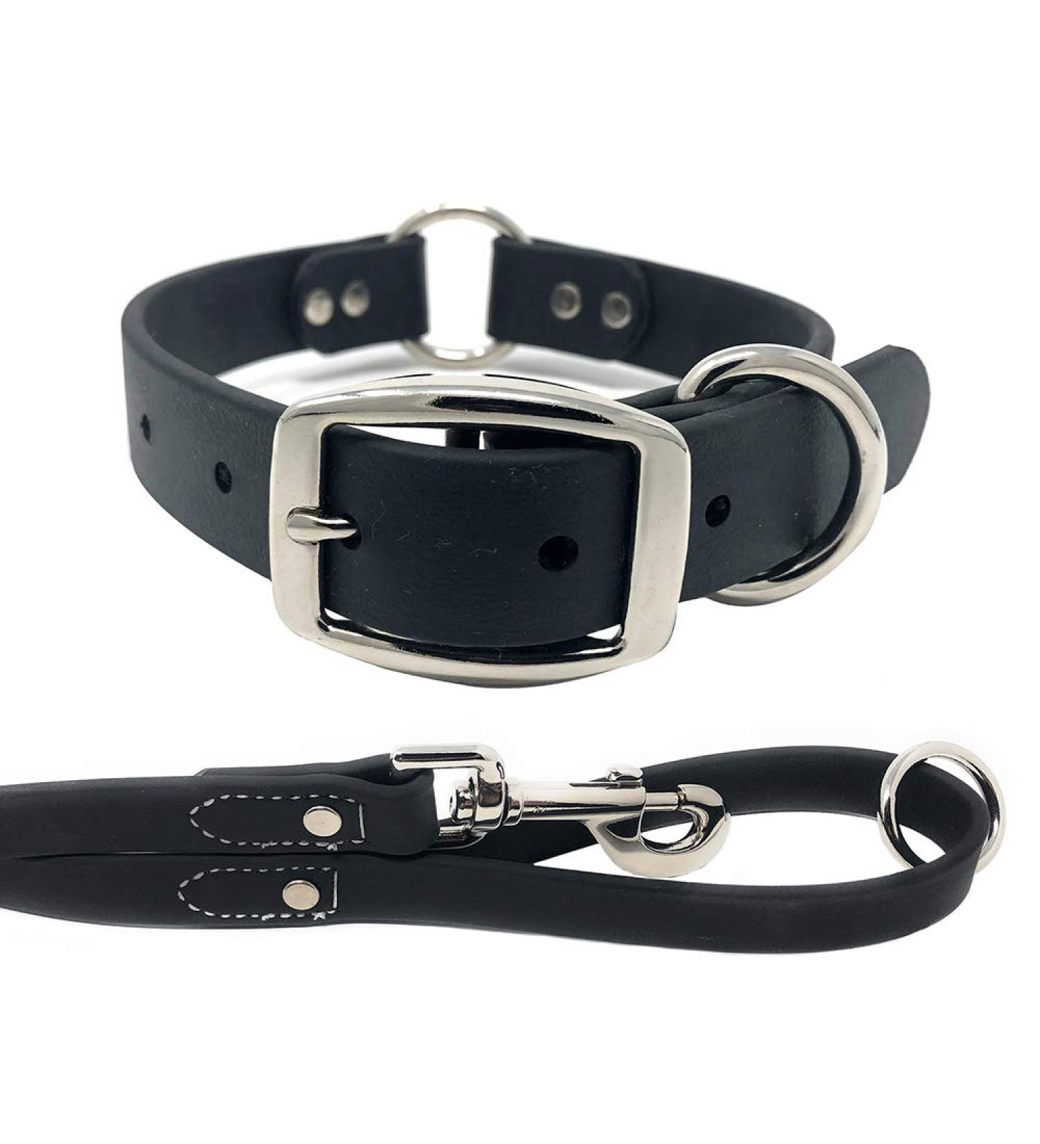 Regal Dog Halison Biothane Waterproof Dog Collar & 1.5m Leash - Durable Stylish for Small to Large Breeds - Black - Buy Online on GoSupps.com