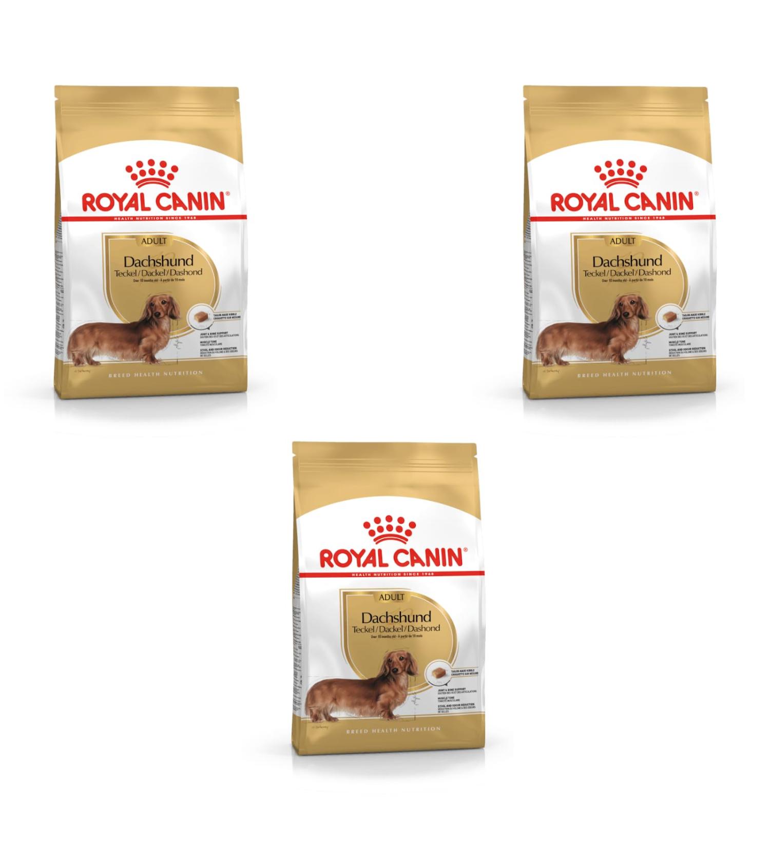 Royal Canin Adult Dachshund | Pack of 3 | 3 x 500 g | Complete Food for Dogs | Specially designed for Adult Dachshunds | Can Help Protect Bones and Joints - Buy Online on GoSupps.com
