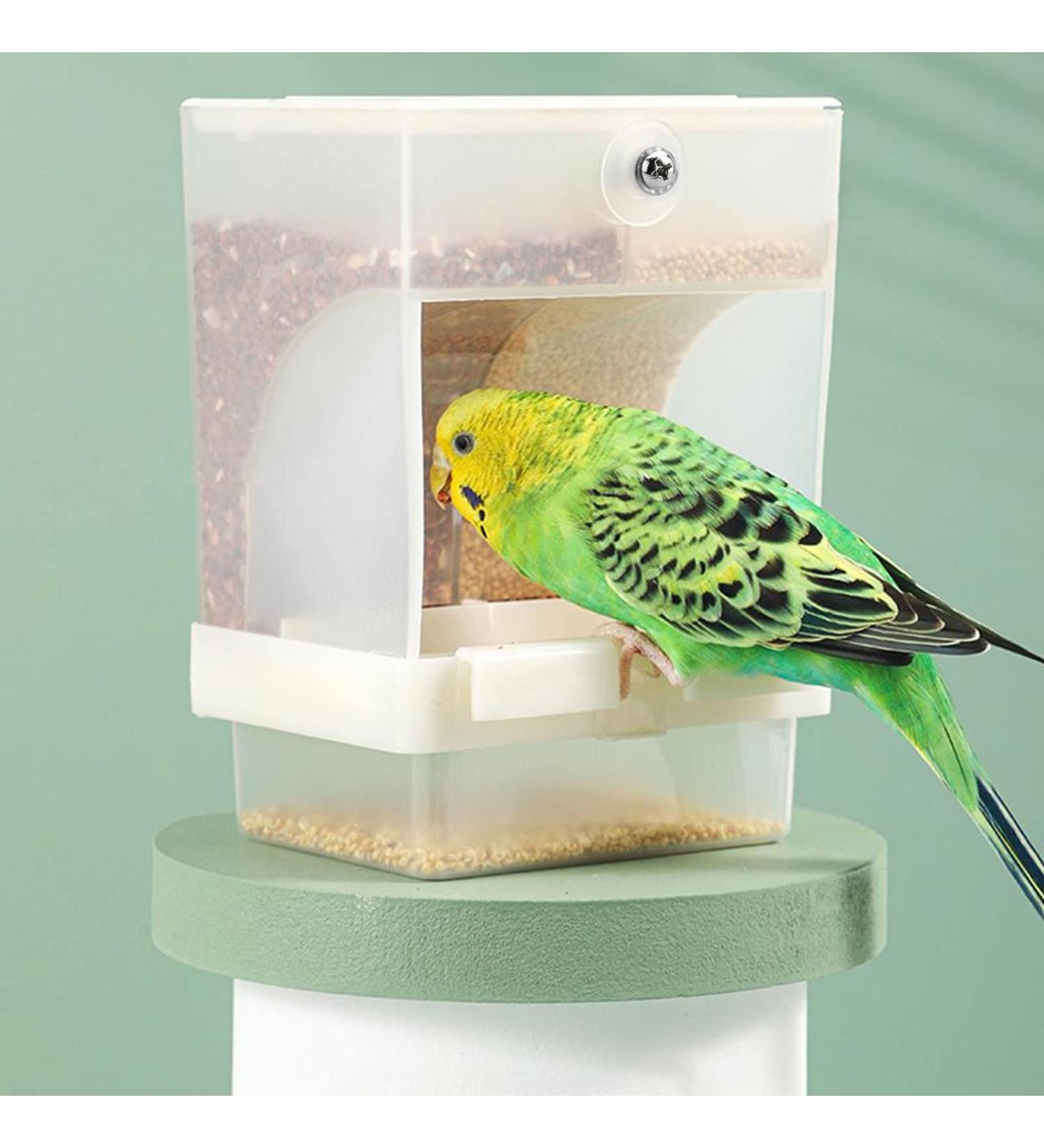 Jodsen Automatic Bird Feeder Pet Feeder Bird Cage Accessory Transparent Double Compartment Hanging Seed Food Container for Small Medium Budgerigar Parakeets Canary Cockatiel Finch Lovebirds(A) - Buy Online on GoSupps.com
