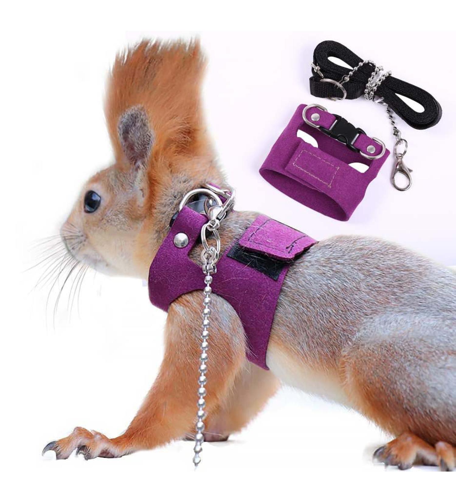 Adnikia Squirrel Traction Rope Strap - Adjustable Anti-Bite Chain Leash for Small Animals - Perfect for Hamsters Mice Rats & Ferrets - Violet Color - Buy Online on GoSupps.com