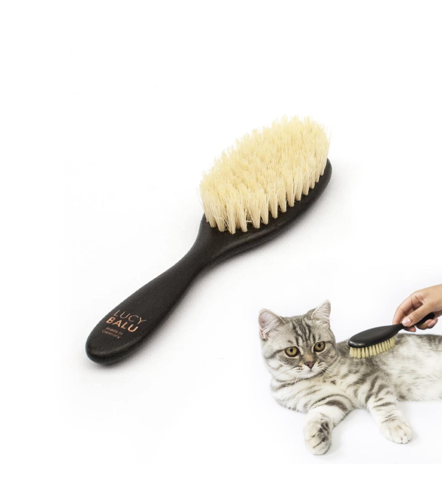 Lucybalu Cat Brush for Short & Long Hair | Vegan Animal Hair Grooming | Agave Fiber Bristles & Wooden Handle | Perfect Felting & Combing Tool for Cats - Buy Online on GoSupps.com