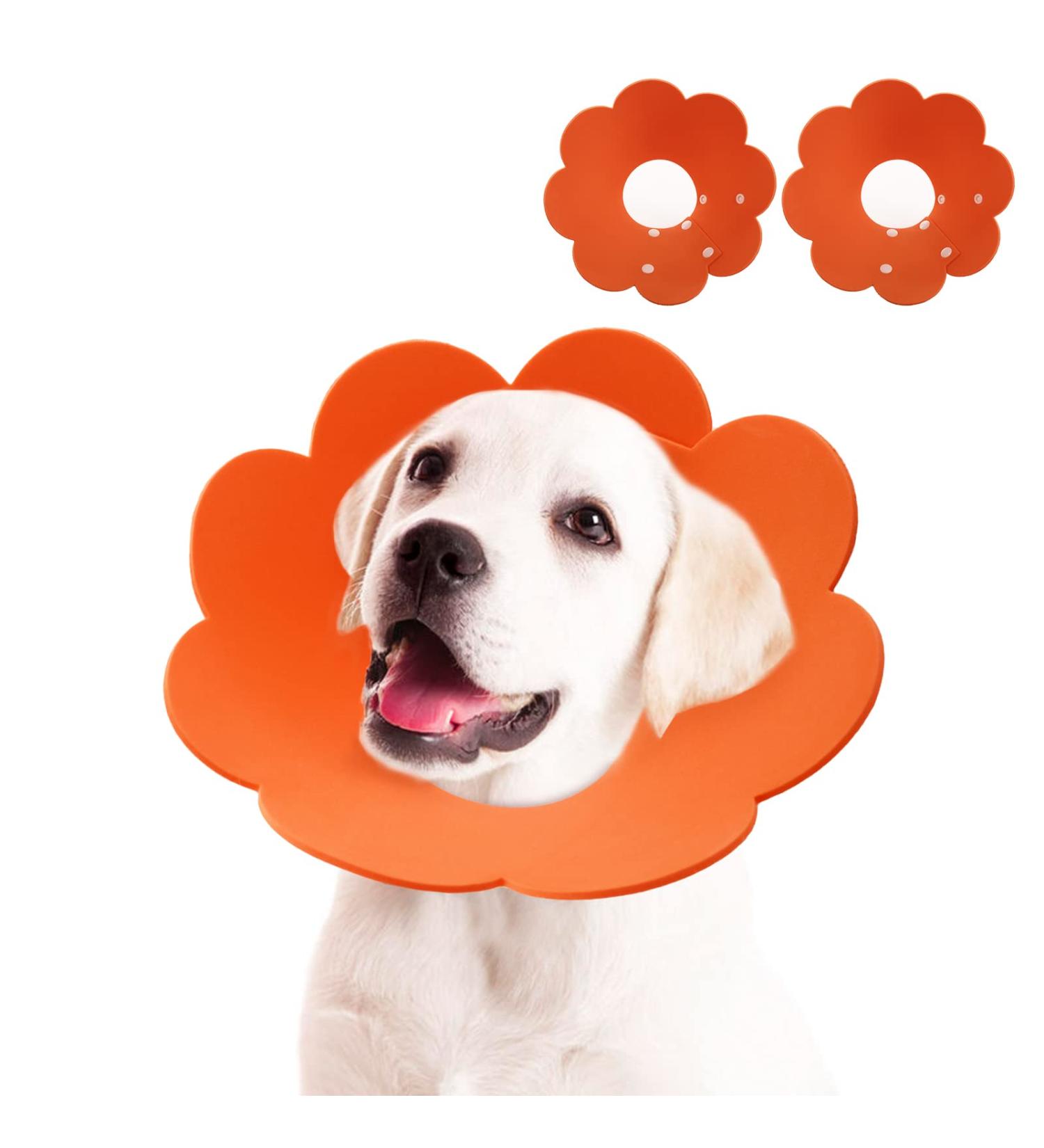 Adjustable Pet Cone Collar for Cats - 2 Pack Soft Protective Recovery Collar in Orange | Prevents Licking Wounds after Surgery (Large) - Buy Online on GoSupps.com