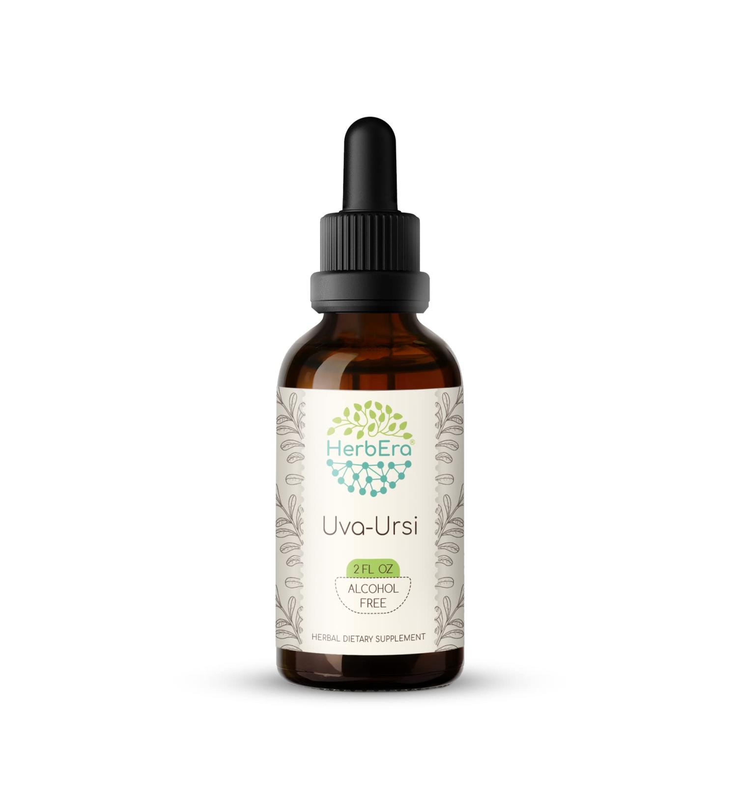 Uva-Ursi Alcohol-Free Herbal Extract Tincture - 2 fl oz Concentrated Liquid Drops for Natural Wellness - Buy Online on GoSupps.com