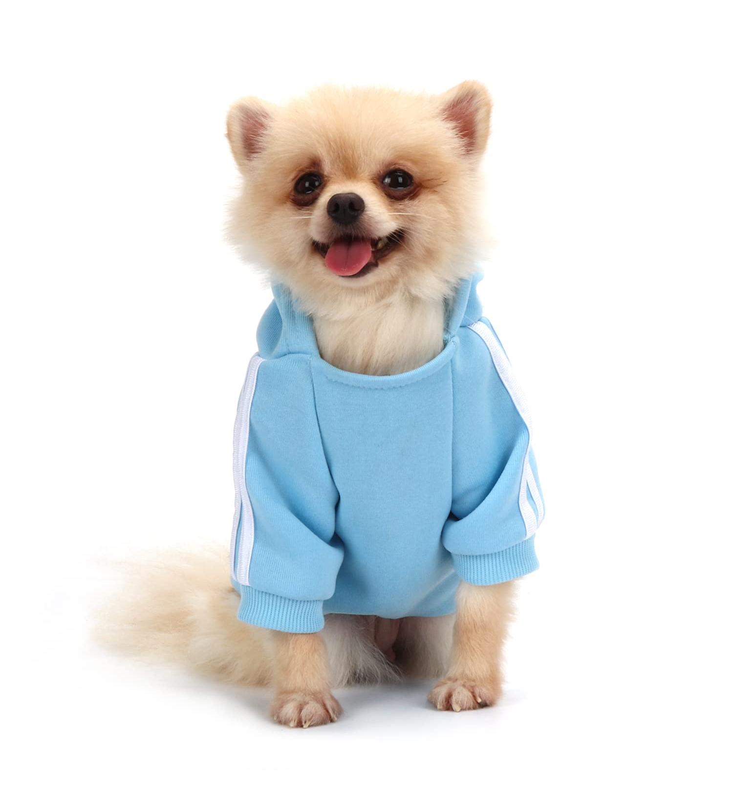 QiCheng&LYS Blue XL Dog Hoodies - Cute Cotton Warm Sweater for Pets - International Shipping Available - Buy Online on GoSupps.com