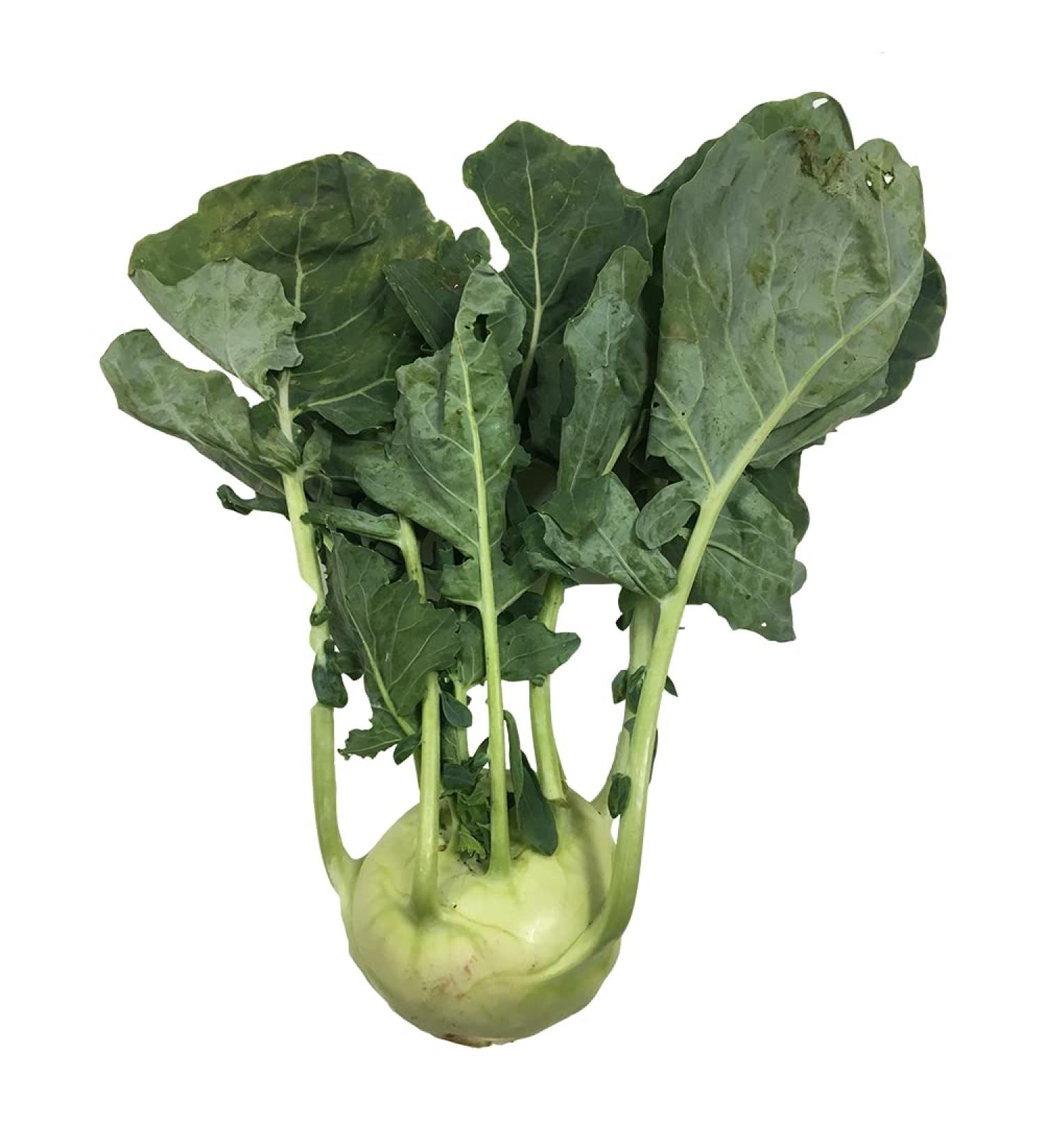Kohlrabi x 6 Heads