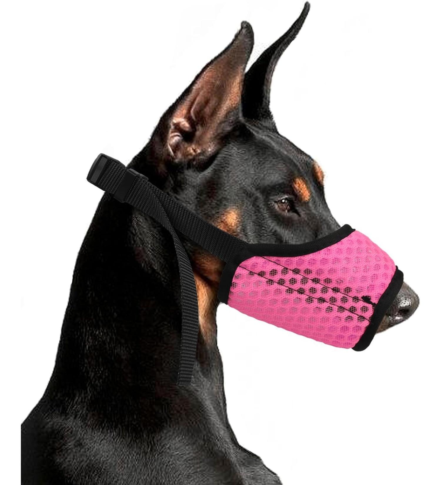Yaodhaod Breathable Dog Muzzle - Prevents Biting Chewing & Eating | Mesh Loop for XL Dogs - Buy Online on GoSupps.com