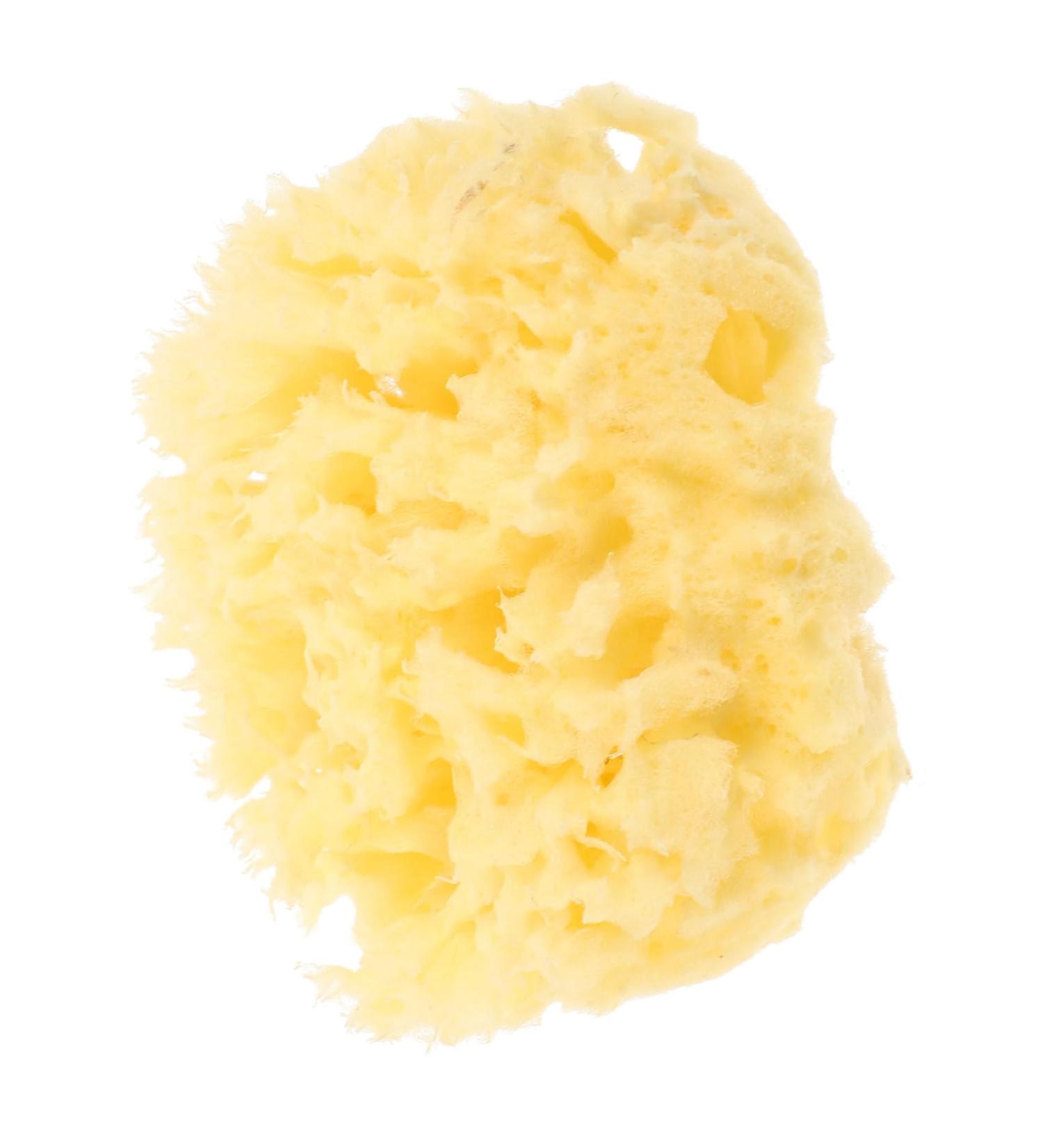 Beaupretty Moisturizer Body for Shower Shower for Women Natural for Bathing Bath for Shower Wash Sponge for Showering Bath Sponge for - Buy Online on GoSupps.com