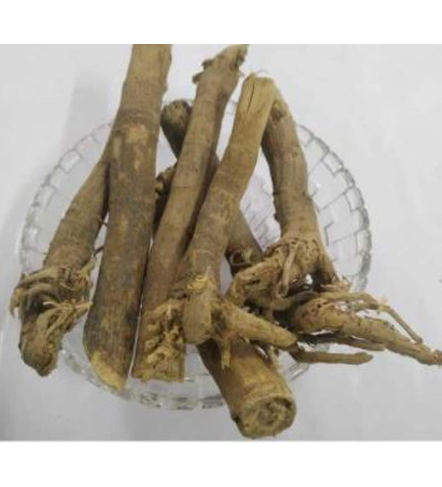RAW HERB/JADI BOOTISAUNF JADD FENNEL ROOT (100gm) - Buy Online on GoSupps.com
