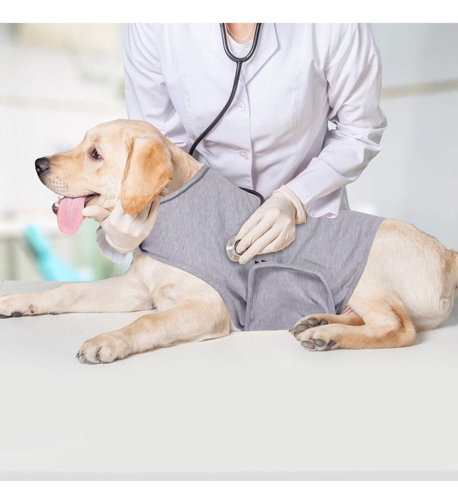 Yukool Anxiety Coat for Dogs | Calming Vest for Thunder & Fireworks | Lightweight Jacket Size L - Gray - Buy Online on GoSupps.com