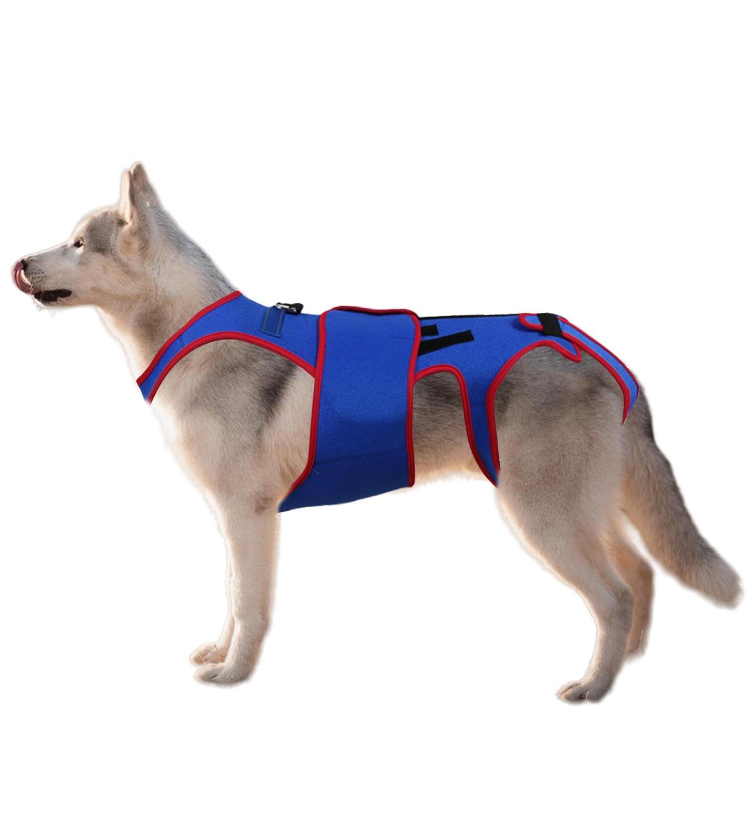Dog Back Brace - Dog Hip Rehabilitation Gear Pet Spine Support Clothing Waist | Waist Protection Support Garment with Reflective Strips Relief Auxiliary Belt for Dogs (26x48 Cm) Xl - Buy Online on GoSupps.com
