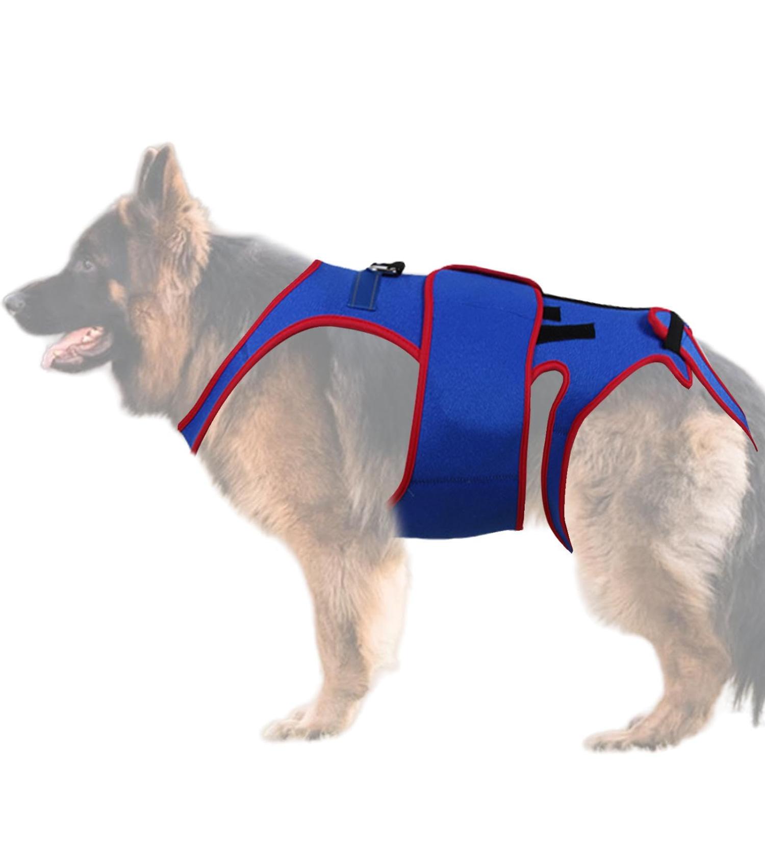 Hip Brace for Dogs Pet Support and Rehab Harness Soft Hip Leg Support - D-Ring and Reflective Strips Pet Back Bracer for IVDD Dogs Back Prevention Recovery and Rehabilitation - Buy Online on GoSupps.com