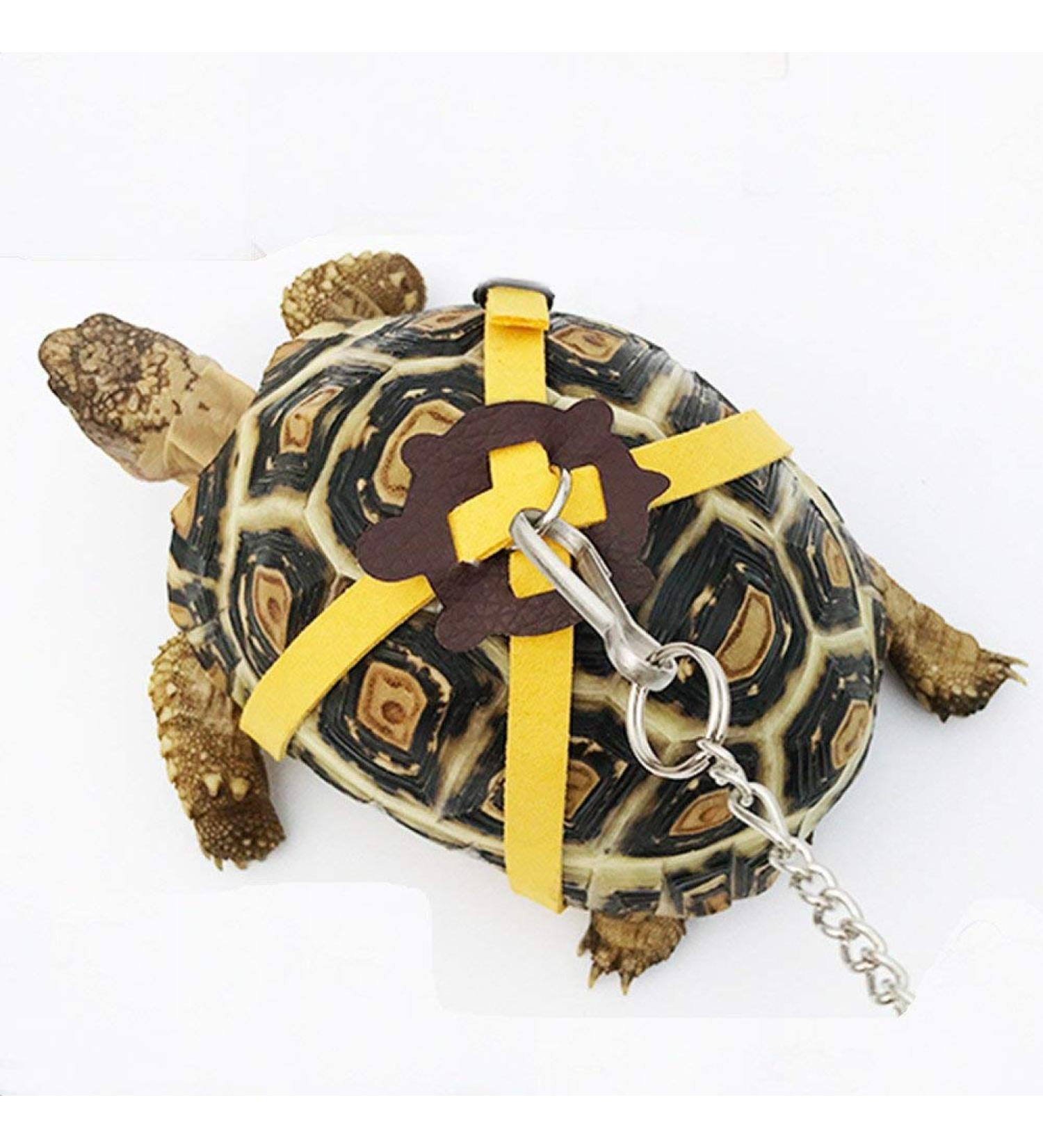 Pet Tortoise Turtle Leather Harness Strap Chest Collar Walking Lead Control Rope (S Blue) S Blue - Buy Online on GoSupps.com