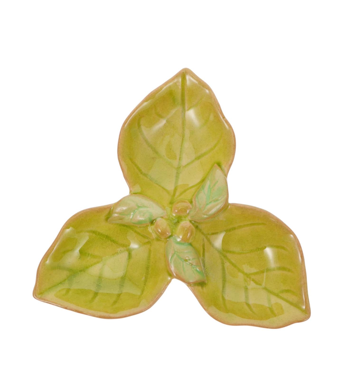 Solust Aromatherapy Bowl - Ceramic Essential Oil Diffuser & Container | Ethereal Oil Shell Plate - Buy Online on GoSupps.com