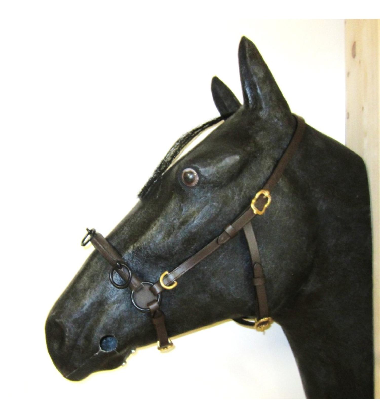 Buy PS Horse French Cavesson Cavecon with D-Rings - Soft Full Brown with Gold Fittings | International Shipping Available - Buy Online on GoSupps.com