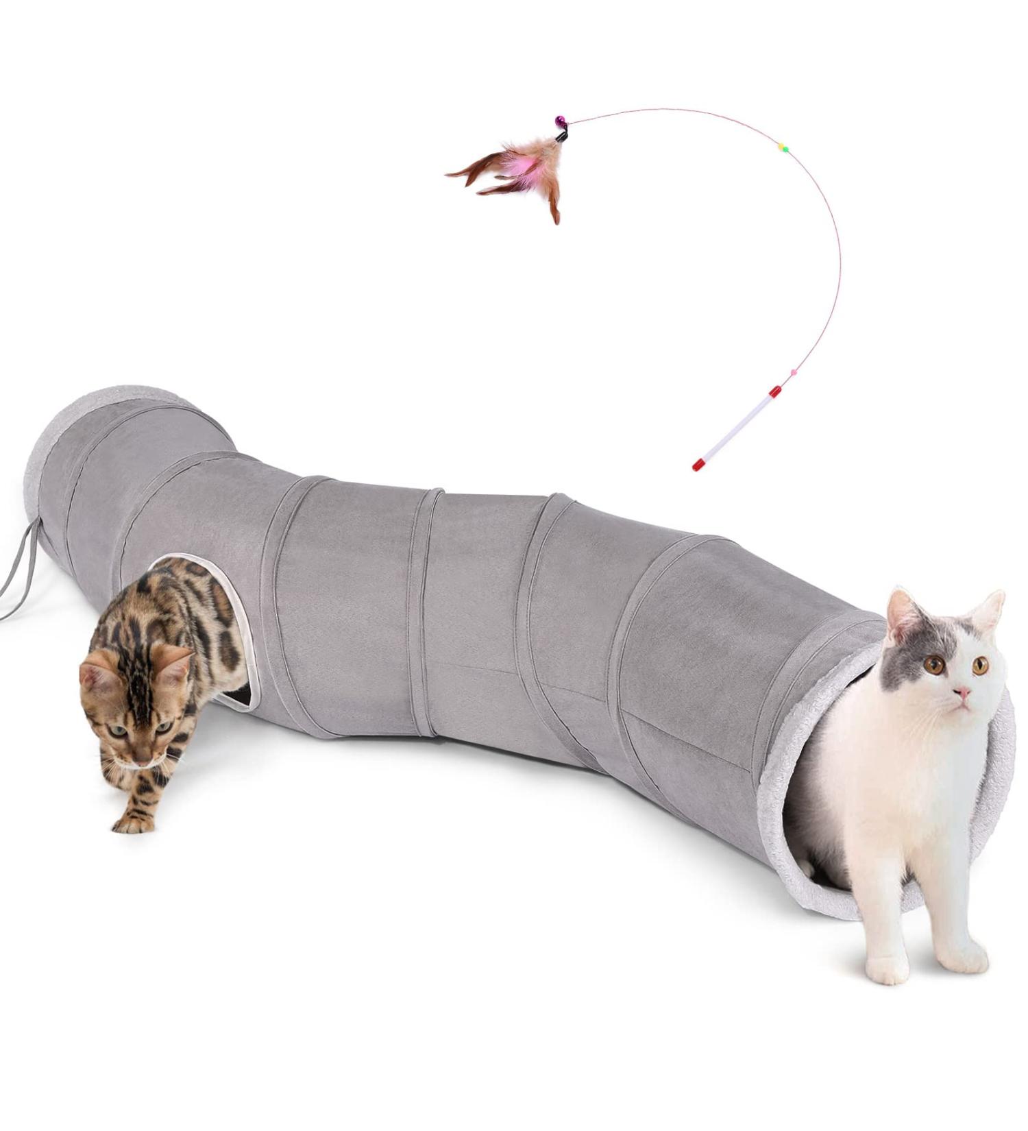 Cat tube tunnel online