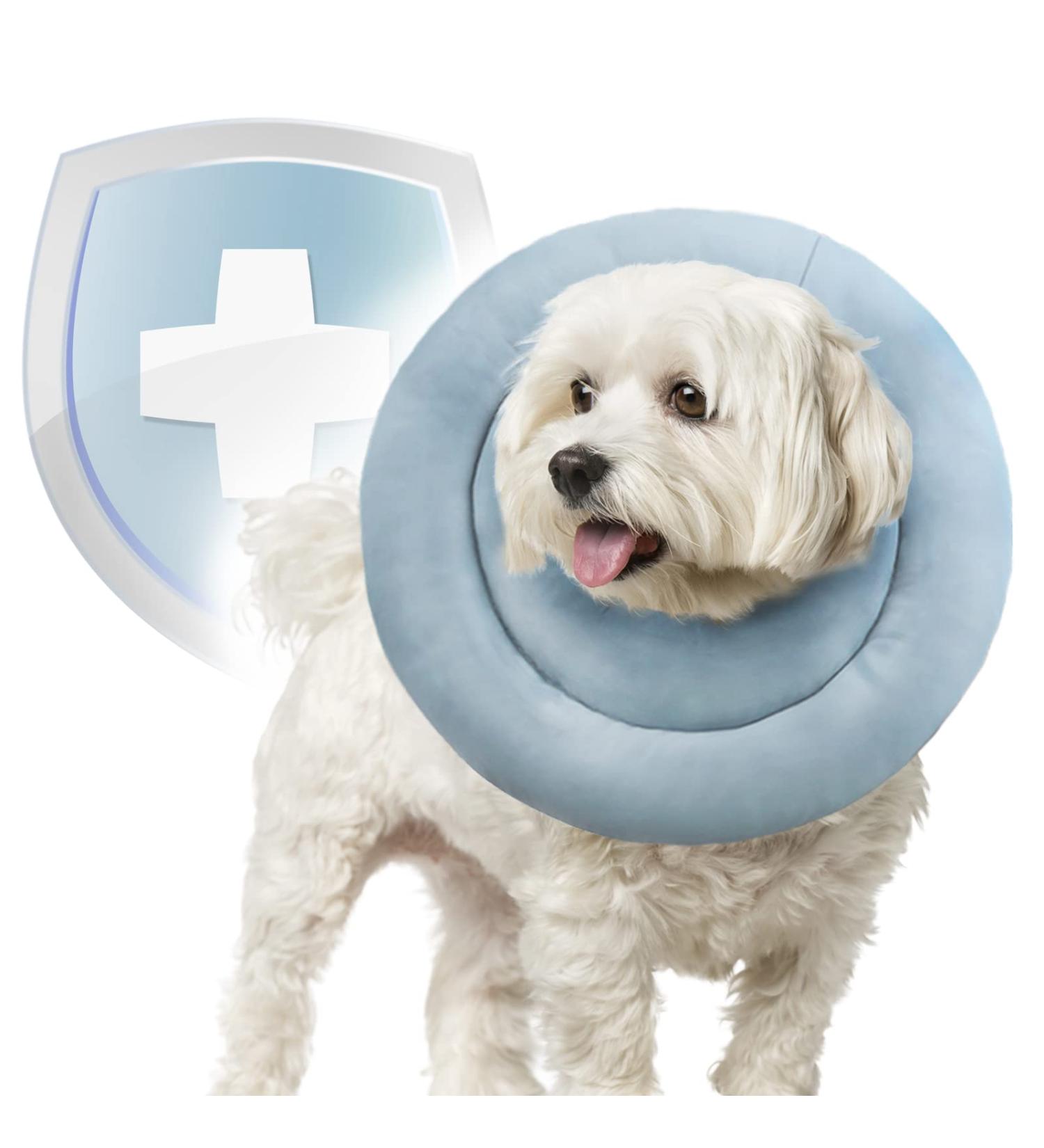 Blue Cat Cone Recovery Collar for Small, Medium, Large Dogs & Cats | Waterproof & Comfortable Anti-Bite Cone After Surgery | Lick & Wound Healing Protection - Buy Online on GoSupps.com