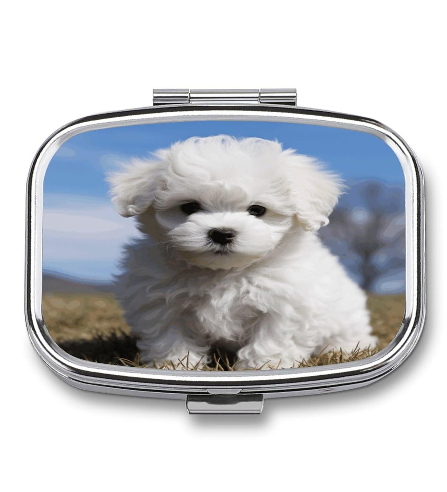 Shop Decorative Bichon Frise Pill Box - 2 Compartment Medicine Organizer | Portable Metal Design for Pocket & Purse - Buy Online on GoSupps.com