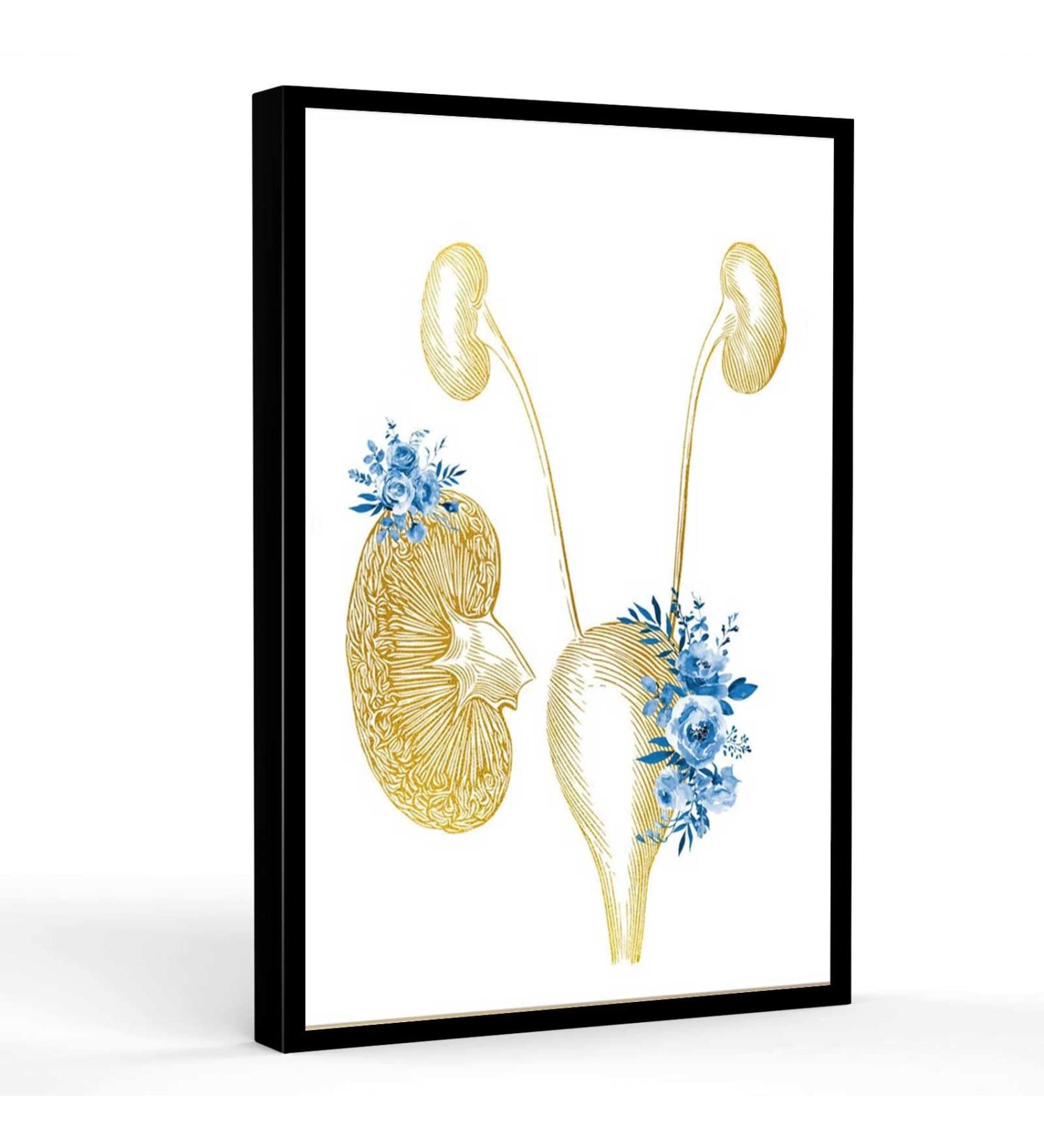 Medical Educational Poster: Urinary System & Tract Nephrology Floral Art - Golden Black 12x18 Inch Modern Canvas Wall Art - Buy Online on GoSupps.com