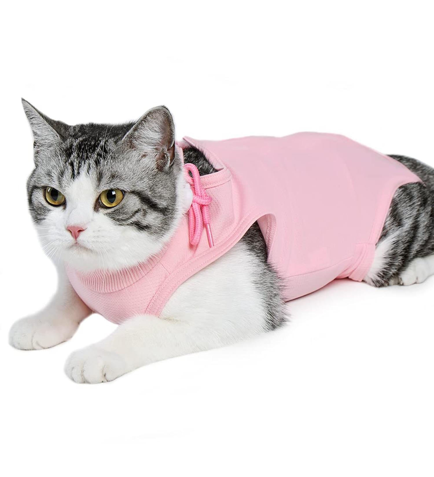 Recovery Suit for Cats - Postoperative Litter Clothing for Belly Wounds & Skin Diseases | Soft Indoor Pet Outfit (S Pink) - Ideal for Cats Under 5 Months - Buy Online on GoSupps.com