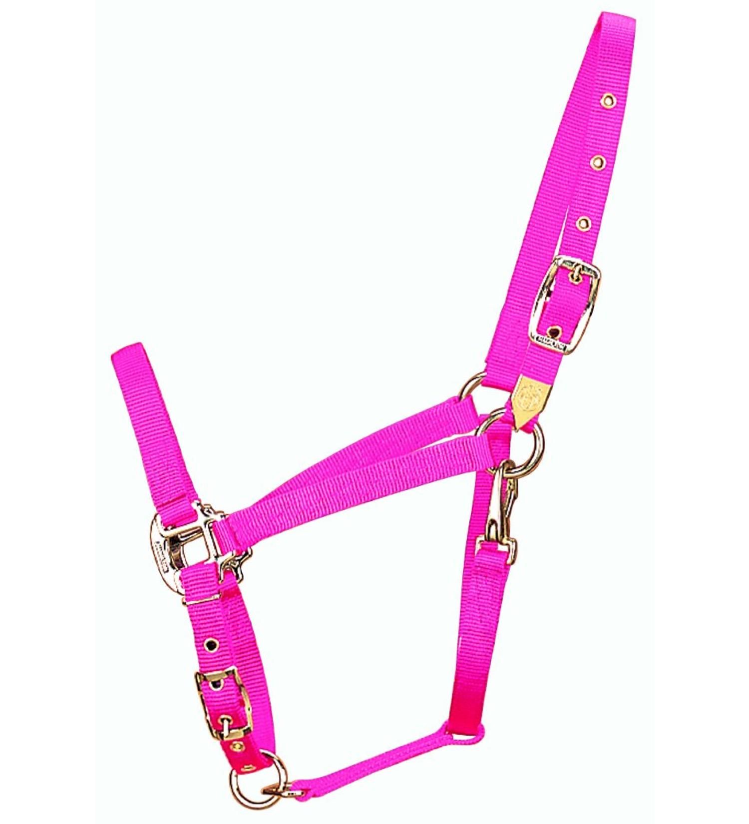 Hamilton 3/4-Inch Nylon Arabian Horse With Adjustable Chin and Throat Snap Small 500 To 800 Pounds Hot Pink Small 500 To 800 Pounds Hot Pink