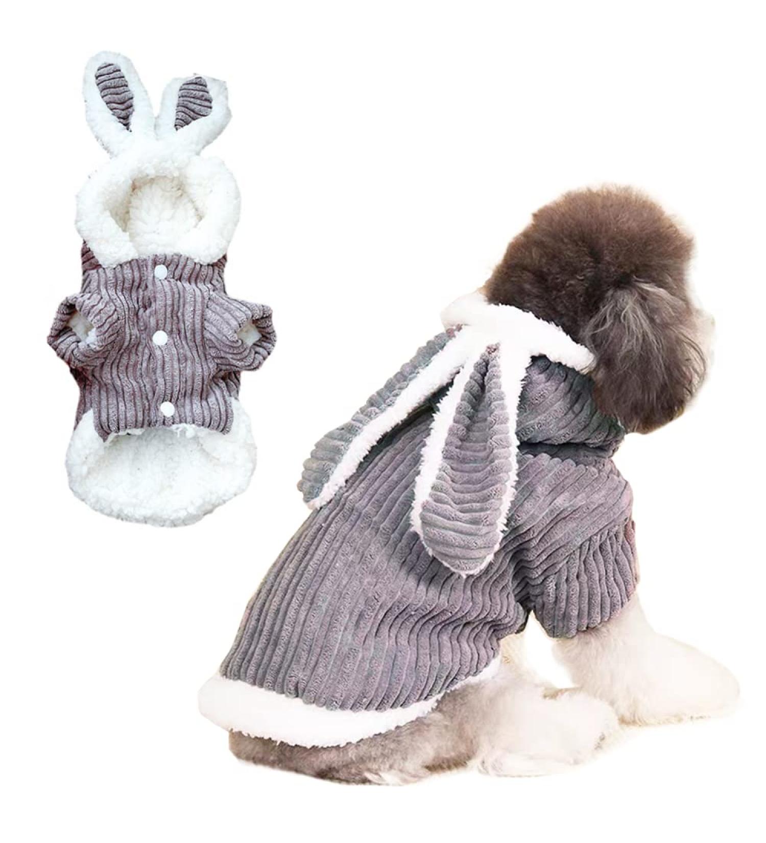 ANIAC Small Dog Bunny Ears Hoodie Cat Rabbit Outfit | Small Grey-2 Winter Jacket for Pets - Buy Online on GoSupps.com
