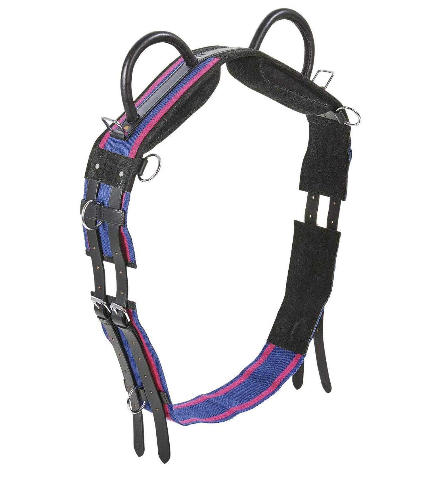 Lunging Girth Double Warmblood Navy/Passion Pink