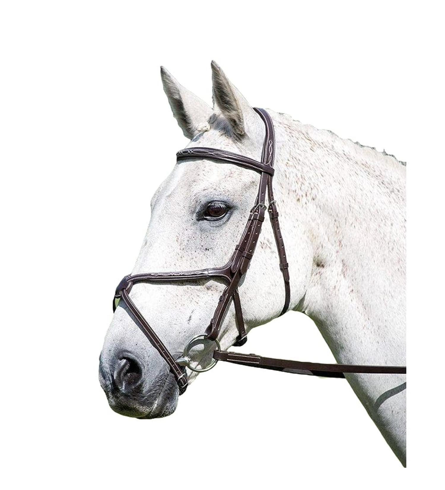 Shires Avignon Mexican Grackle Bridle - Full Size Oak | International Shipping Available - Buy Online on GoSupps.com