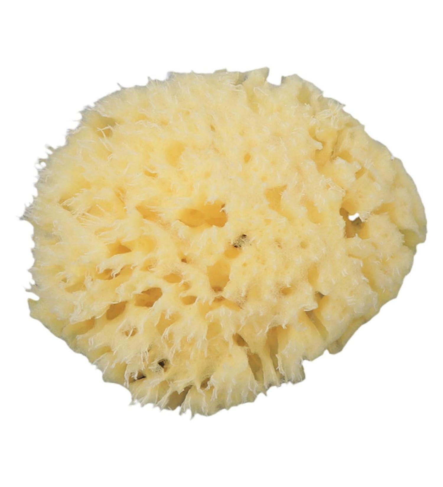 Beavorty Body Exfoliating Bath Sponge - Portable Back Scrubber & Shower Accessory for Ultimate Cleaning & Refreshing Bath Experience - Buy Online on GoSupps.com