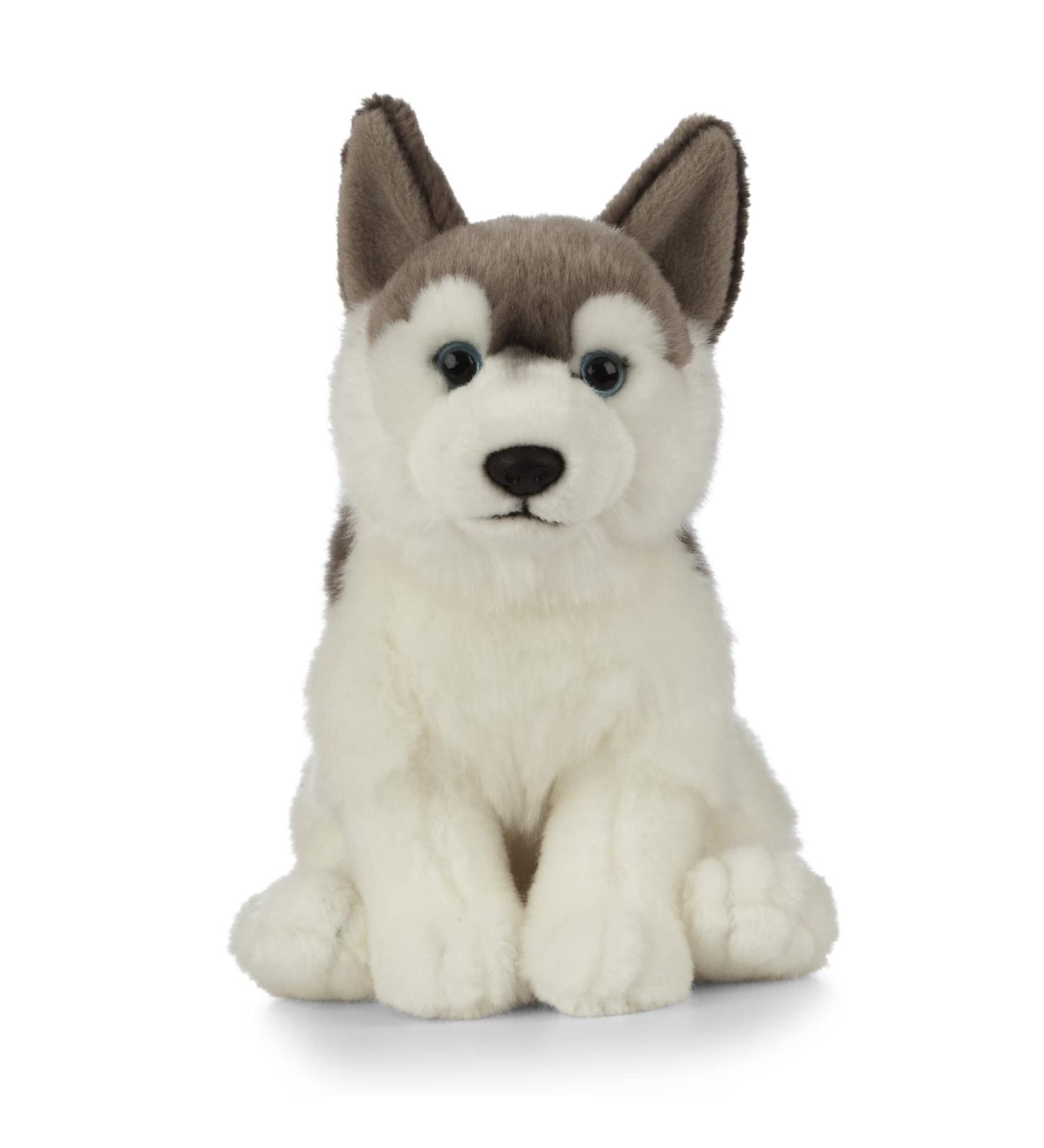 Living Nature AN461 Husky Realistic Soft Cuddly Dog Toy - Eco-Friendly Plush 21cm - Buy Online on GoSupps.com