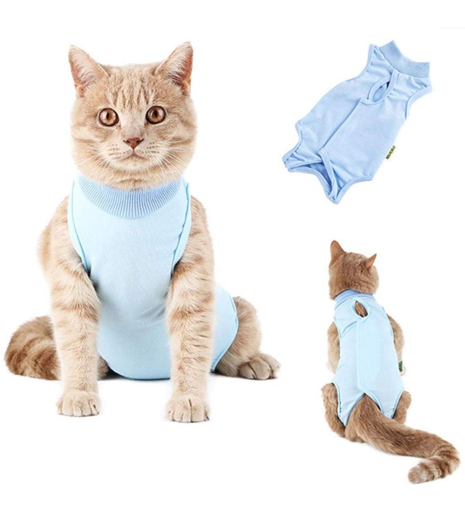 Cat Professional Surgical Recovery Suit Cat Clothes for Abdominal Wounds or Skin Diseases (M Blue) 1.36 kg (Pack of 1) Blue - Buy Online on GoSupps.com