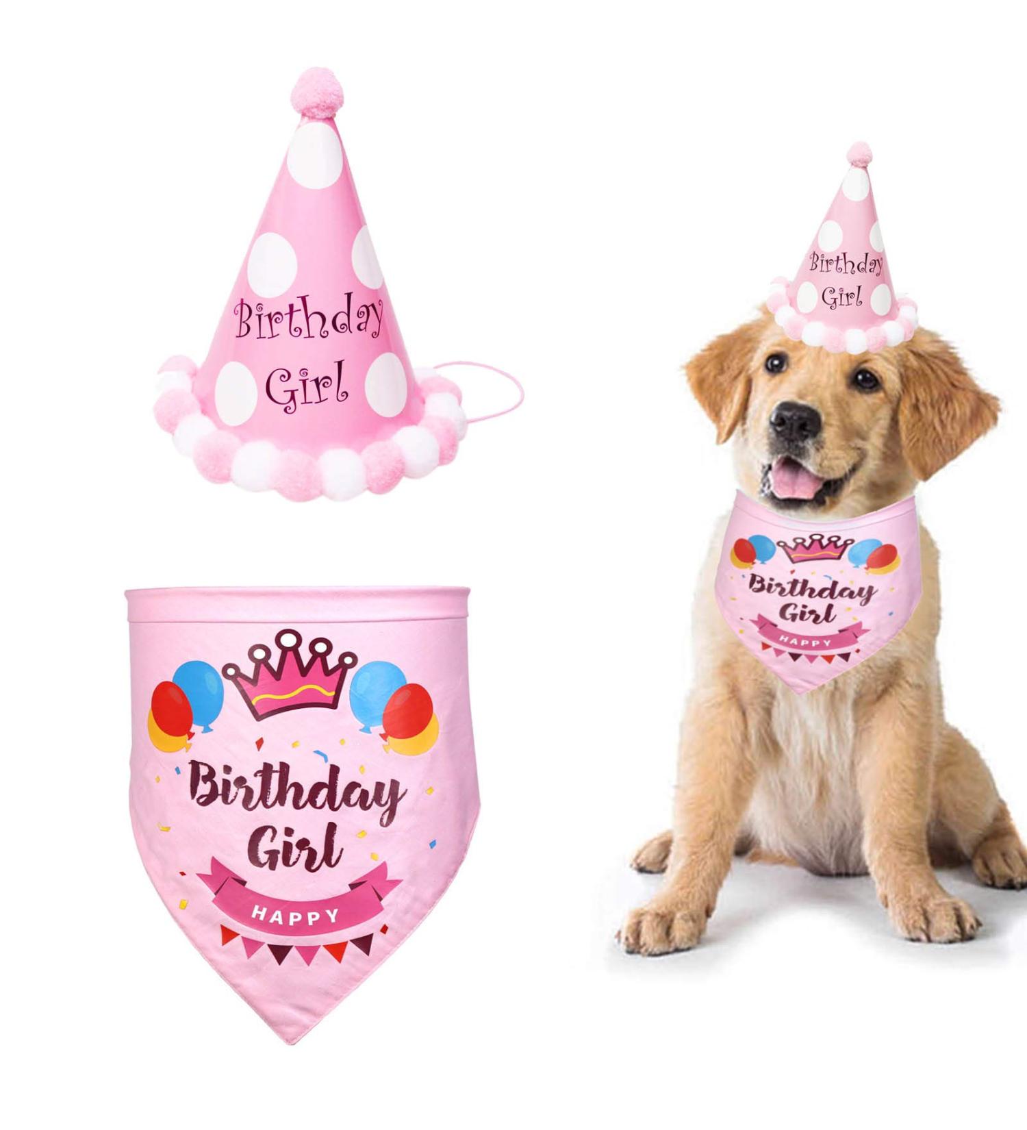 Suoxu Dog Birthday Party Hat & Gift Set - Cute Cotton Triangle Scarf & Happy Birthday Bandana for Puppies - Buy Online on GoSupps.com