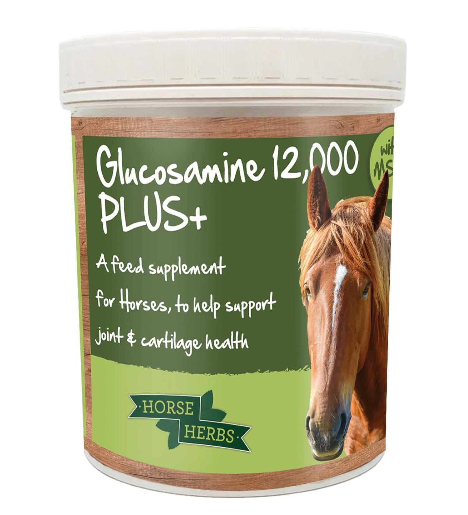 Horse Herbs Glucosamine 12 000 PLUS+ | Ready To Use Horse & Pony Supplement | Support For Equine Joints & Mobility (500g Tub)